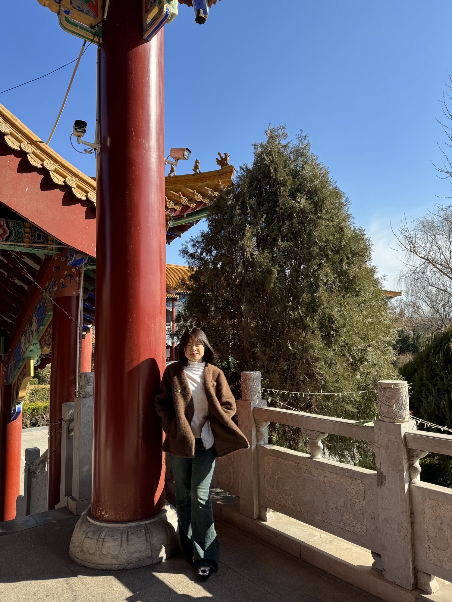 寿光林海生态博览园旅行图片 1