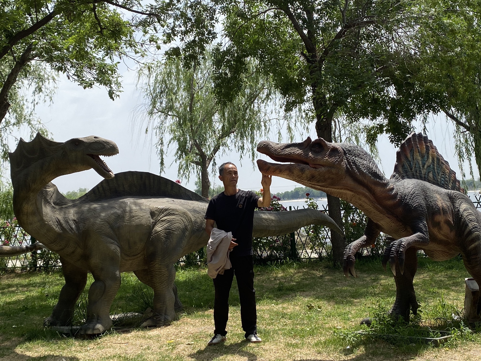 寿光林海生态博览园旅行图片 3