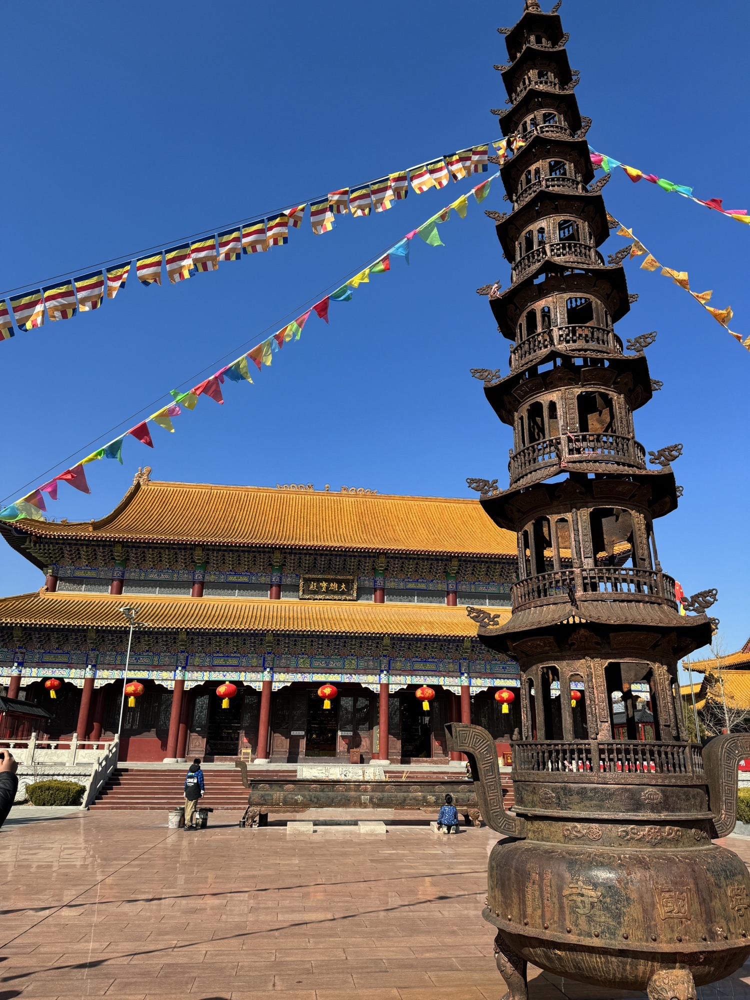 寿光林海生态博览园旅行图片 3