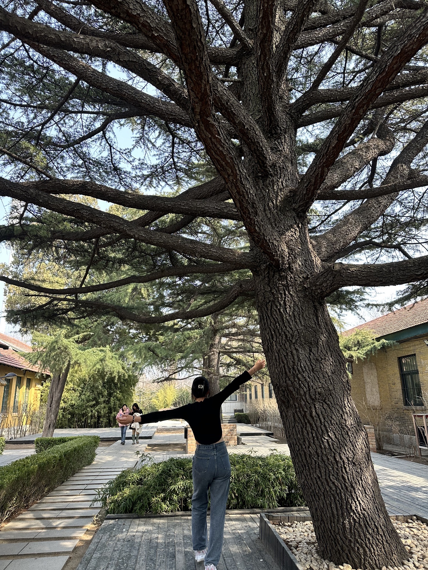 坊茨小镇旅行图片 3