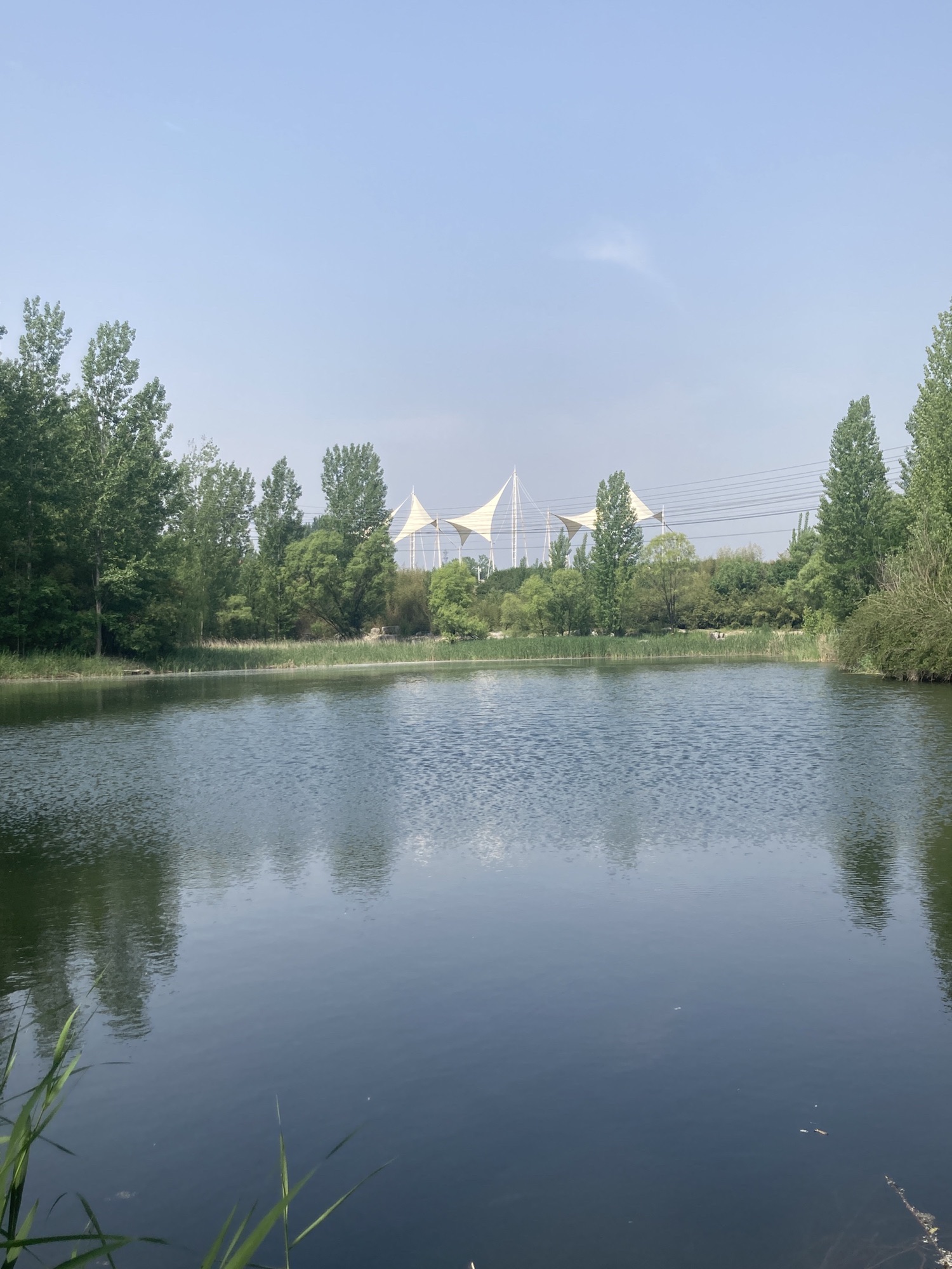青龙湖风景区旅行图片 1