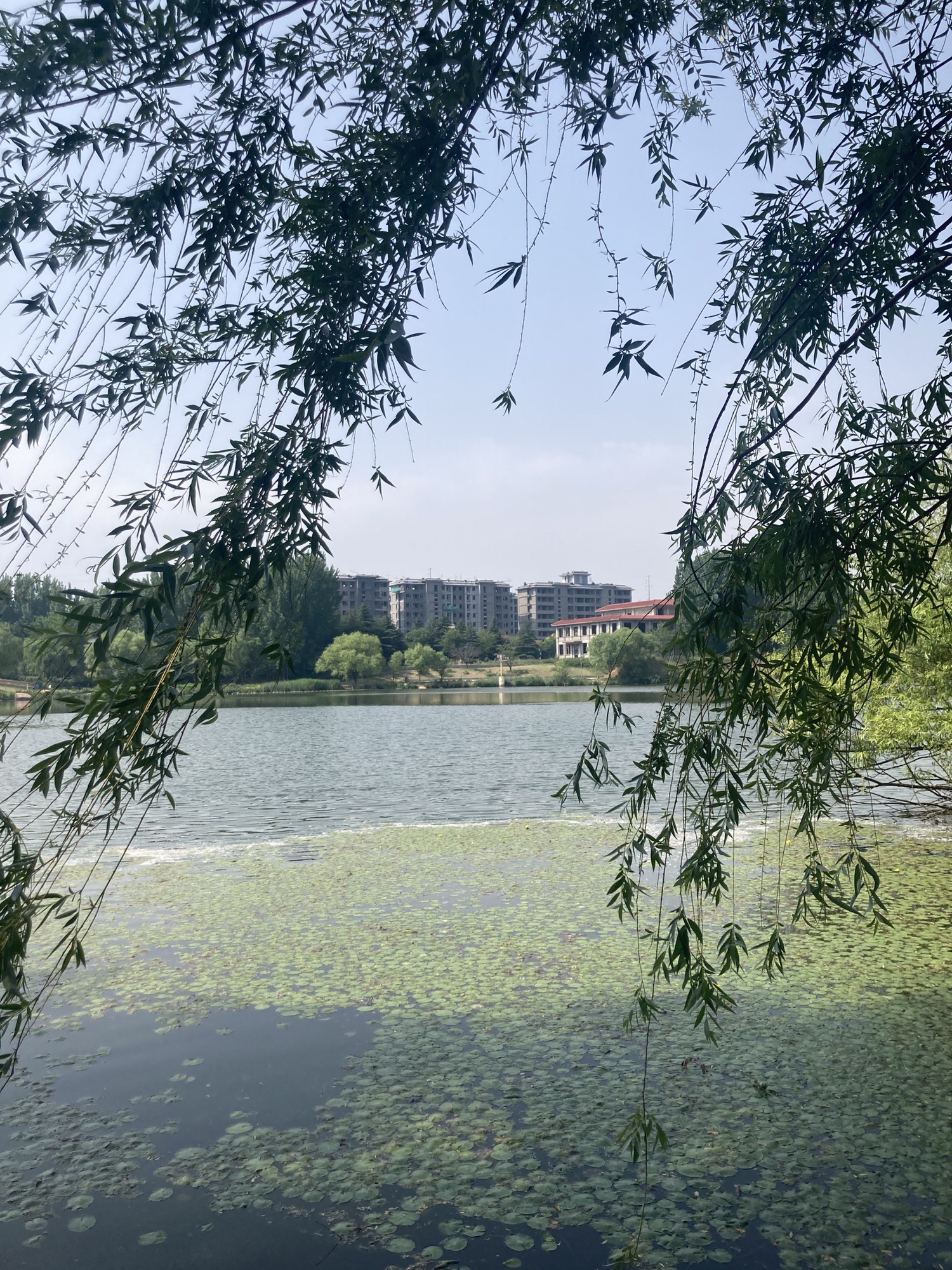 青龙湖风景区旅行图片 3