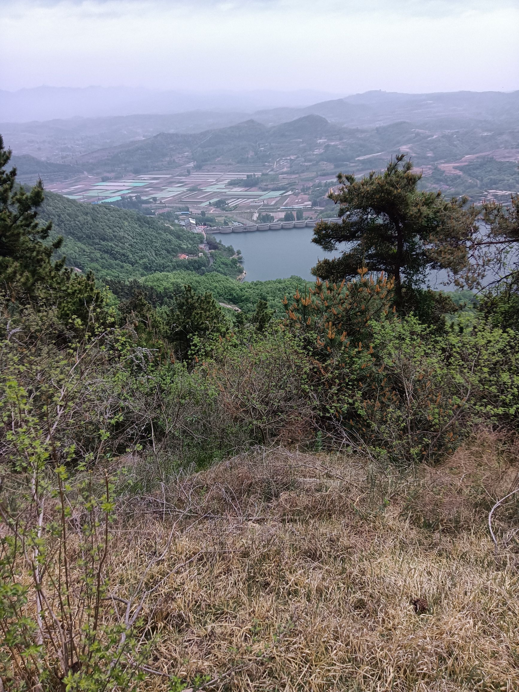 黑松林风景区旅行图片 1