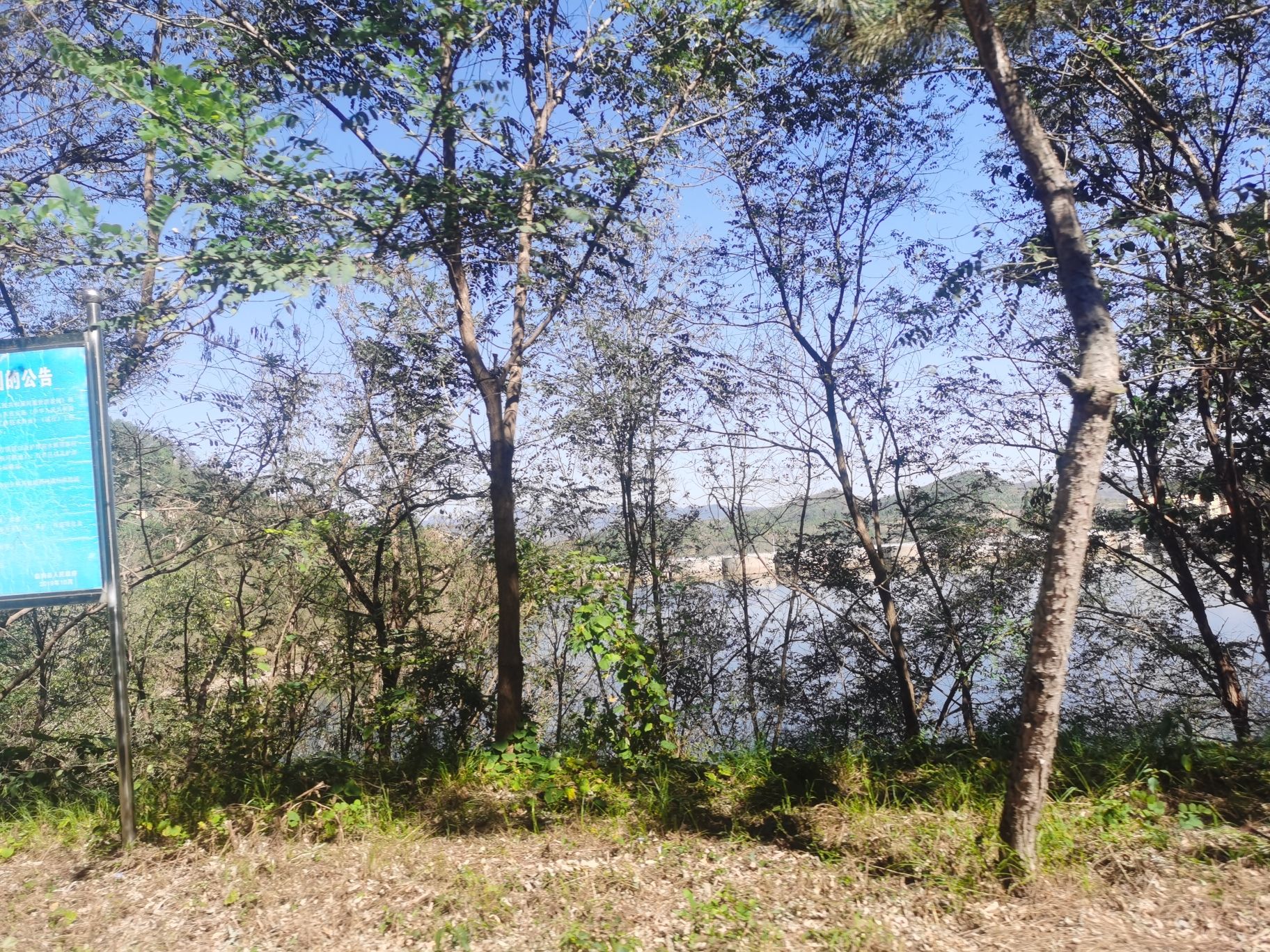 黑松林风景区旅行图片 3