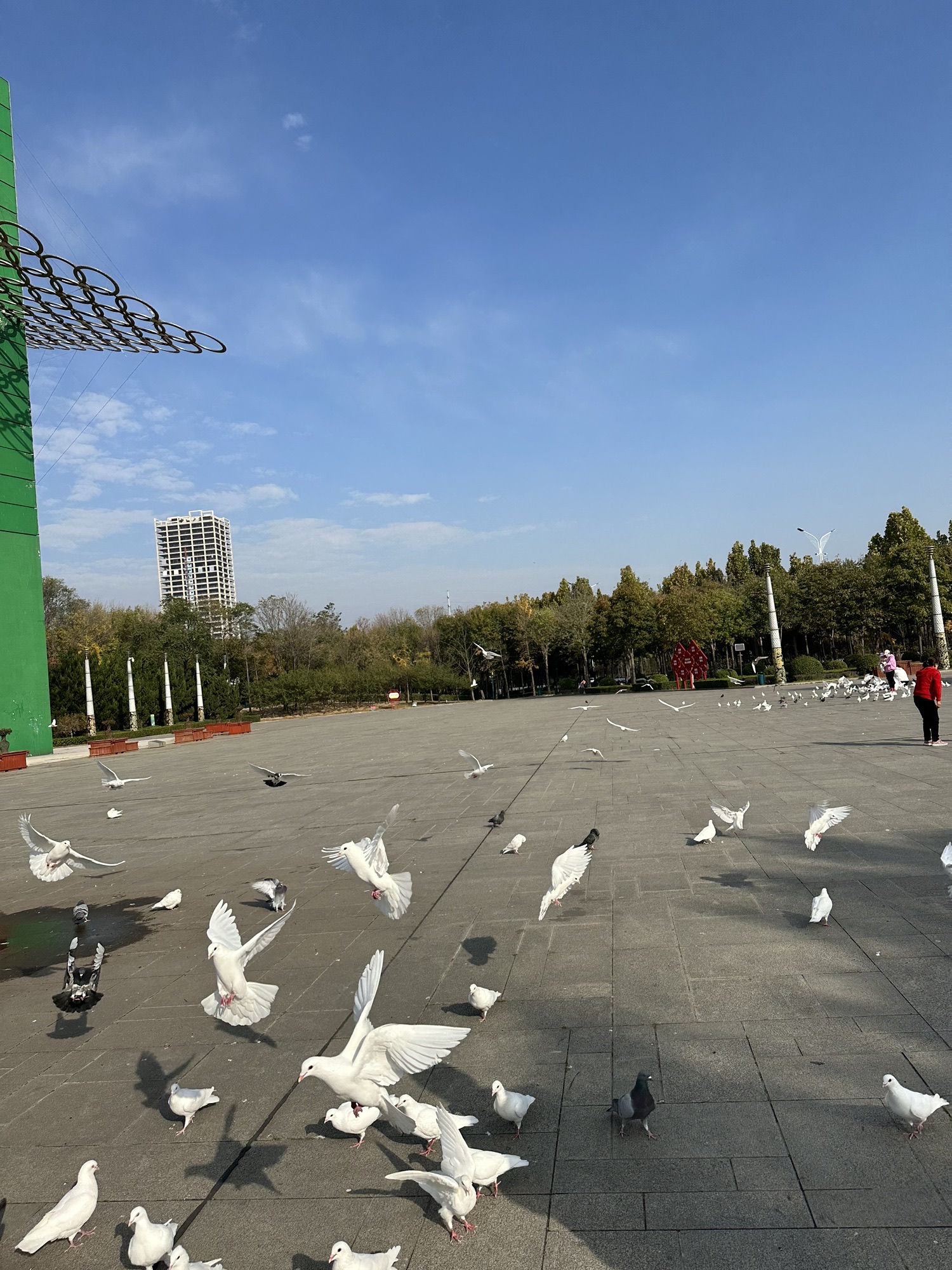 安顺广场旅行图片 3