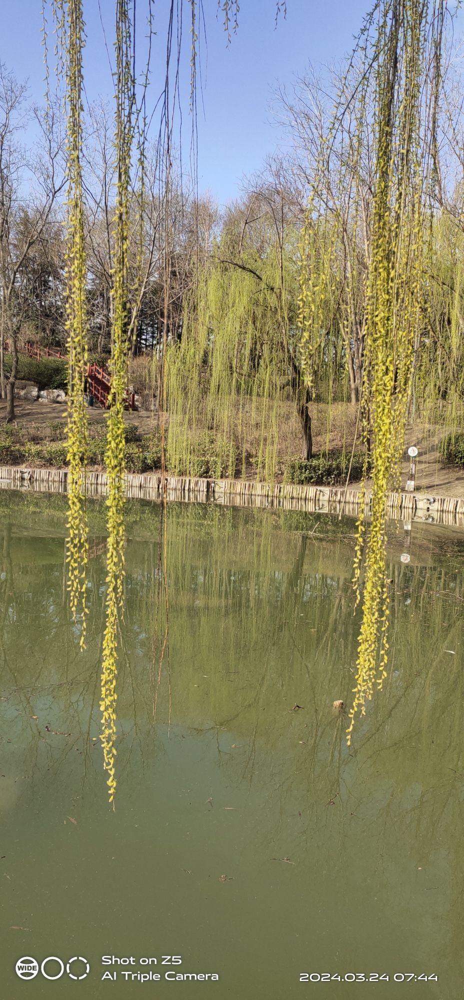 安顺广场旅行图片 1