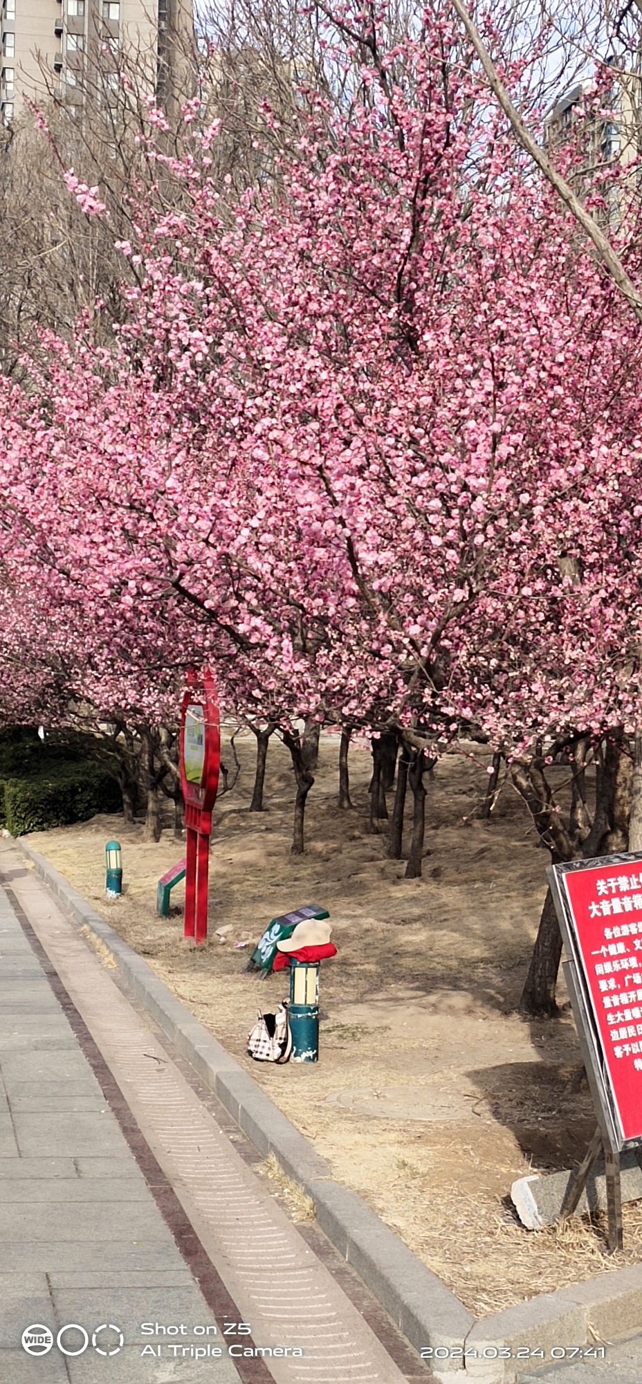安顺广场旅行图片 2