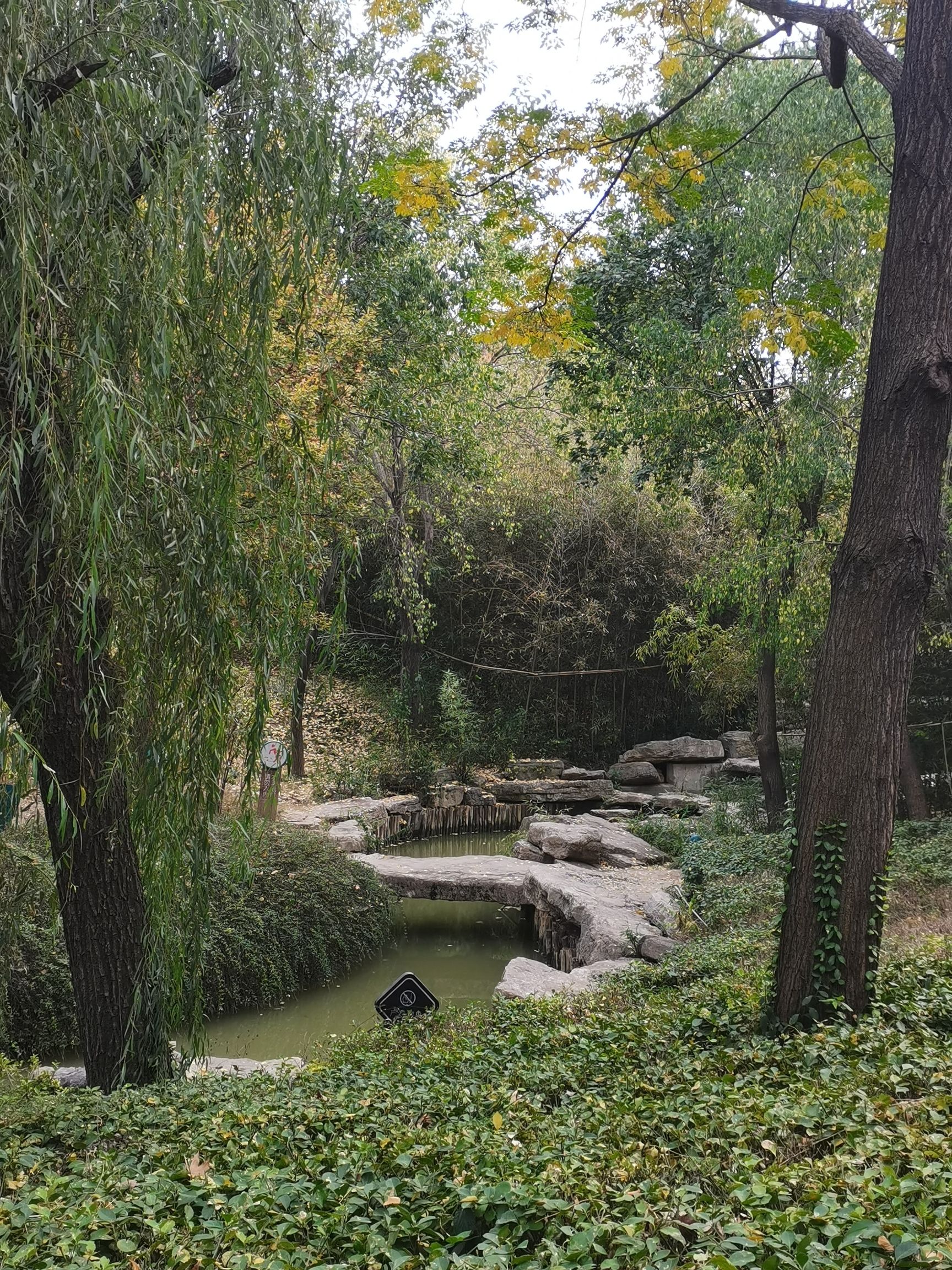 安顺广场旅行图片 1