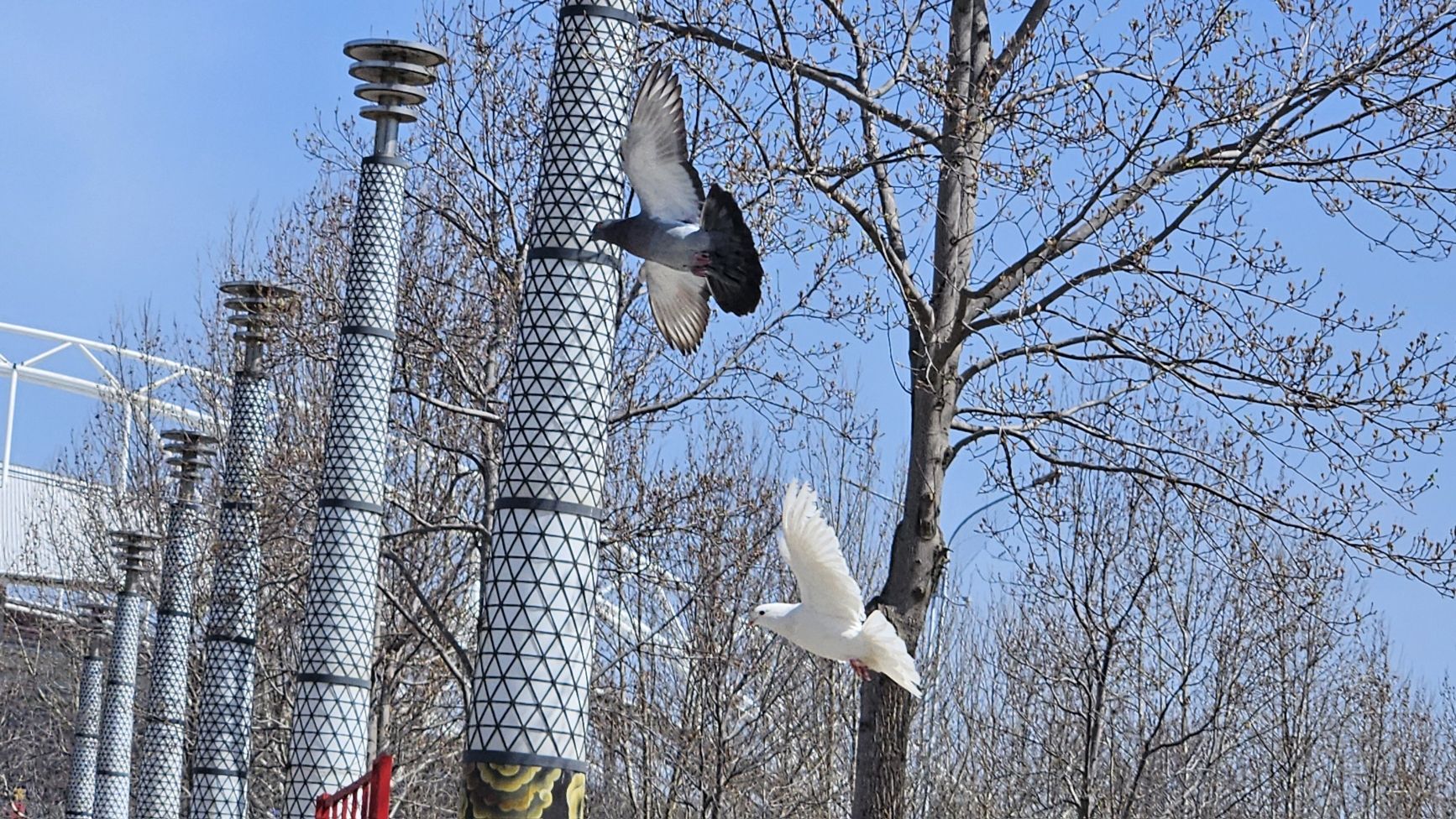 安顺广场旅行图片 1