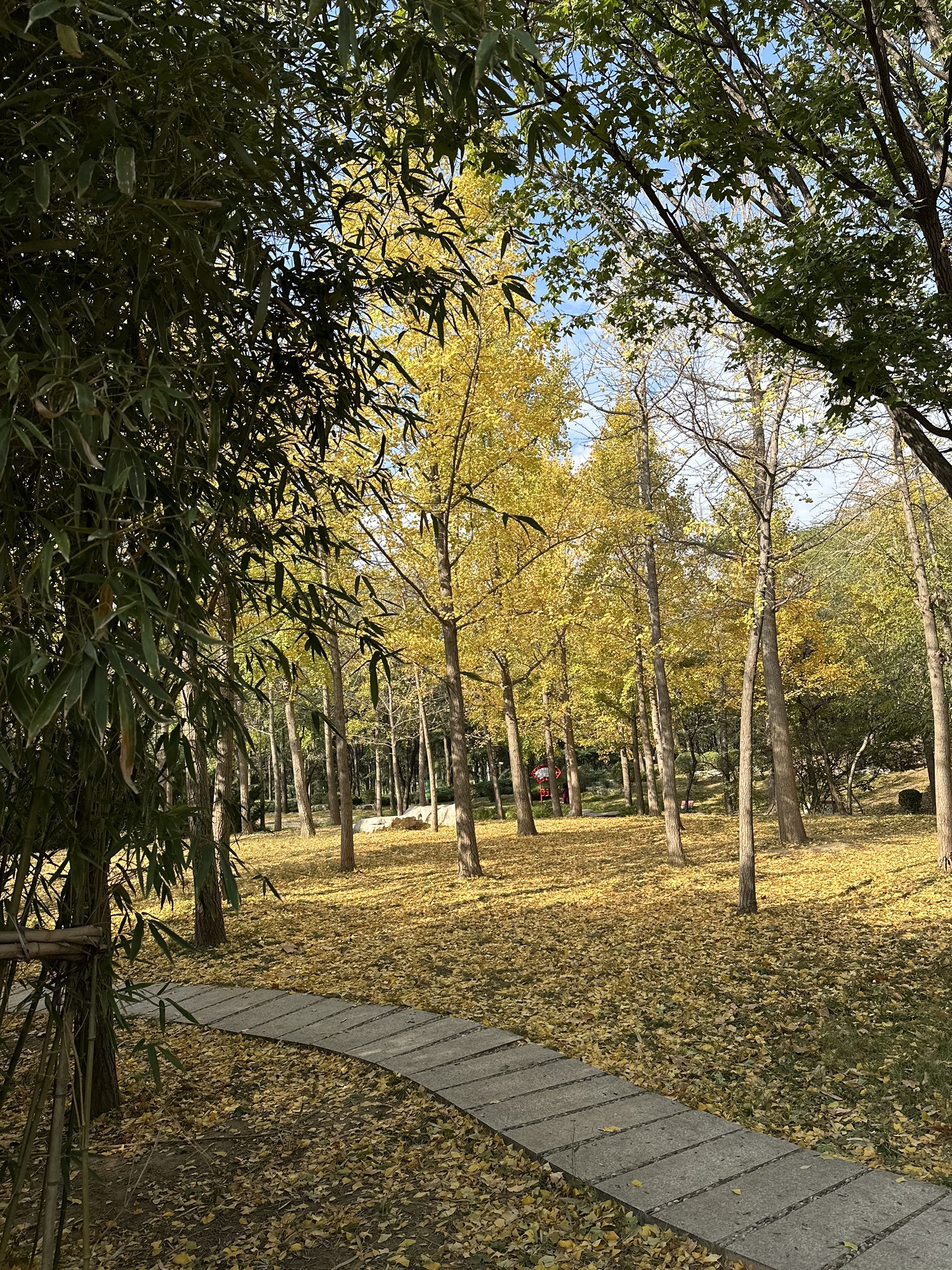 安顺广场旅行图片 1