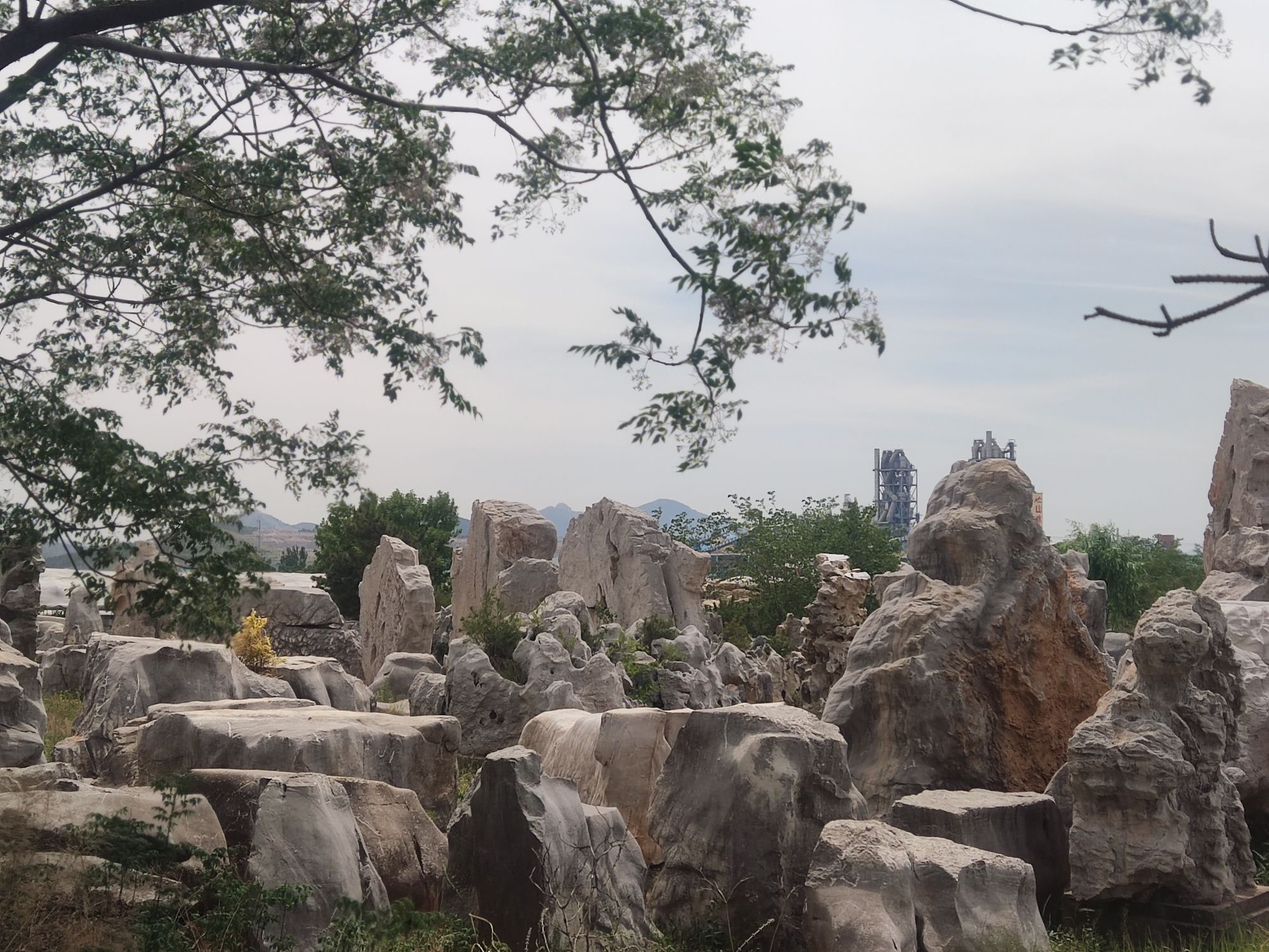北方石林景区旅行图片 3