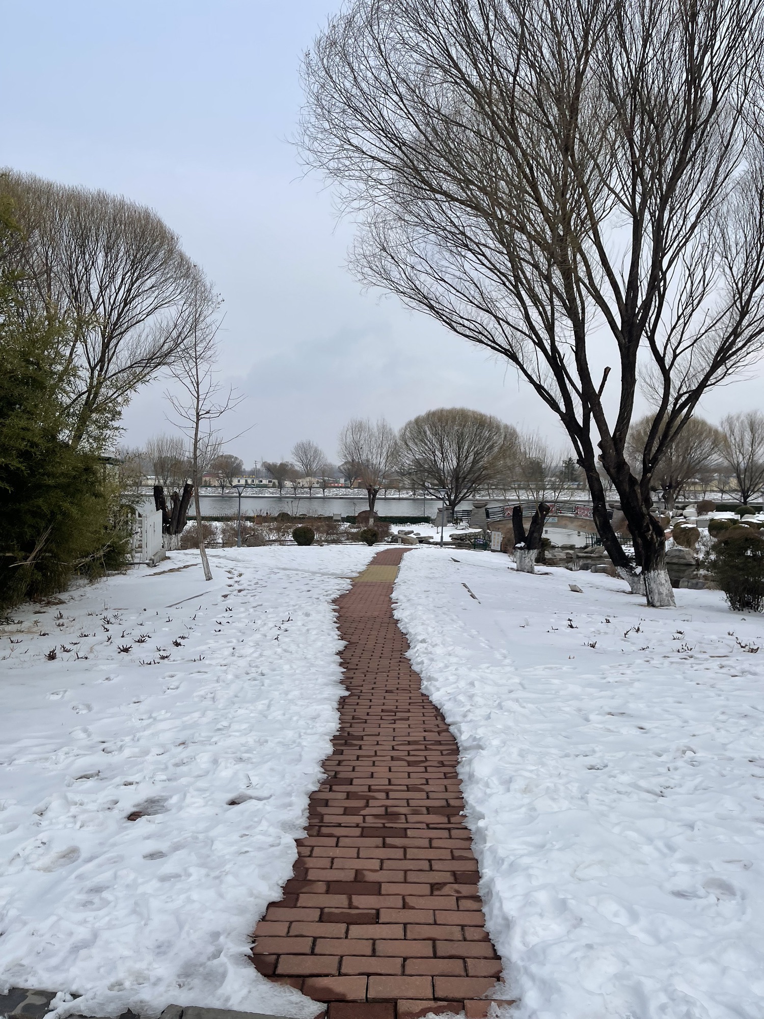 临朐文化公园旅行图片 2