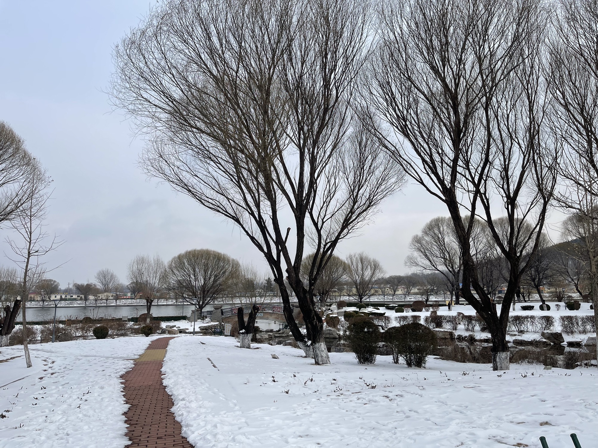 临朐文化公园旅行图片 3