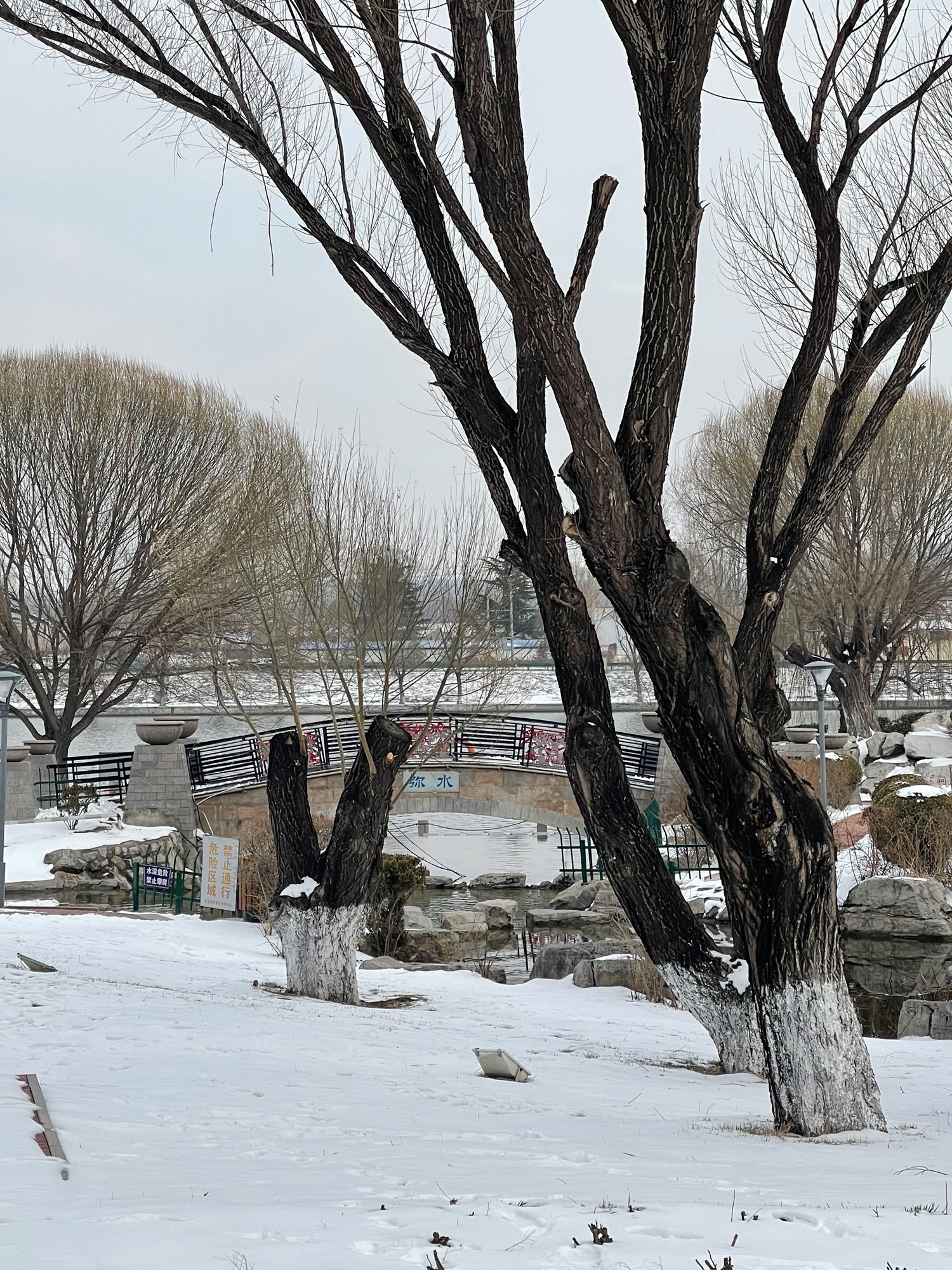 临朐文化公园旅行图片 2