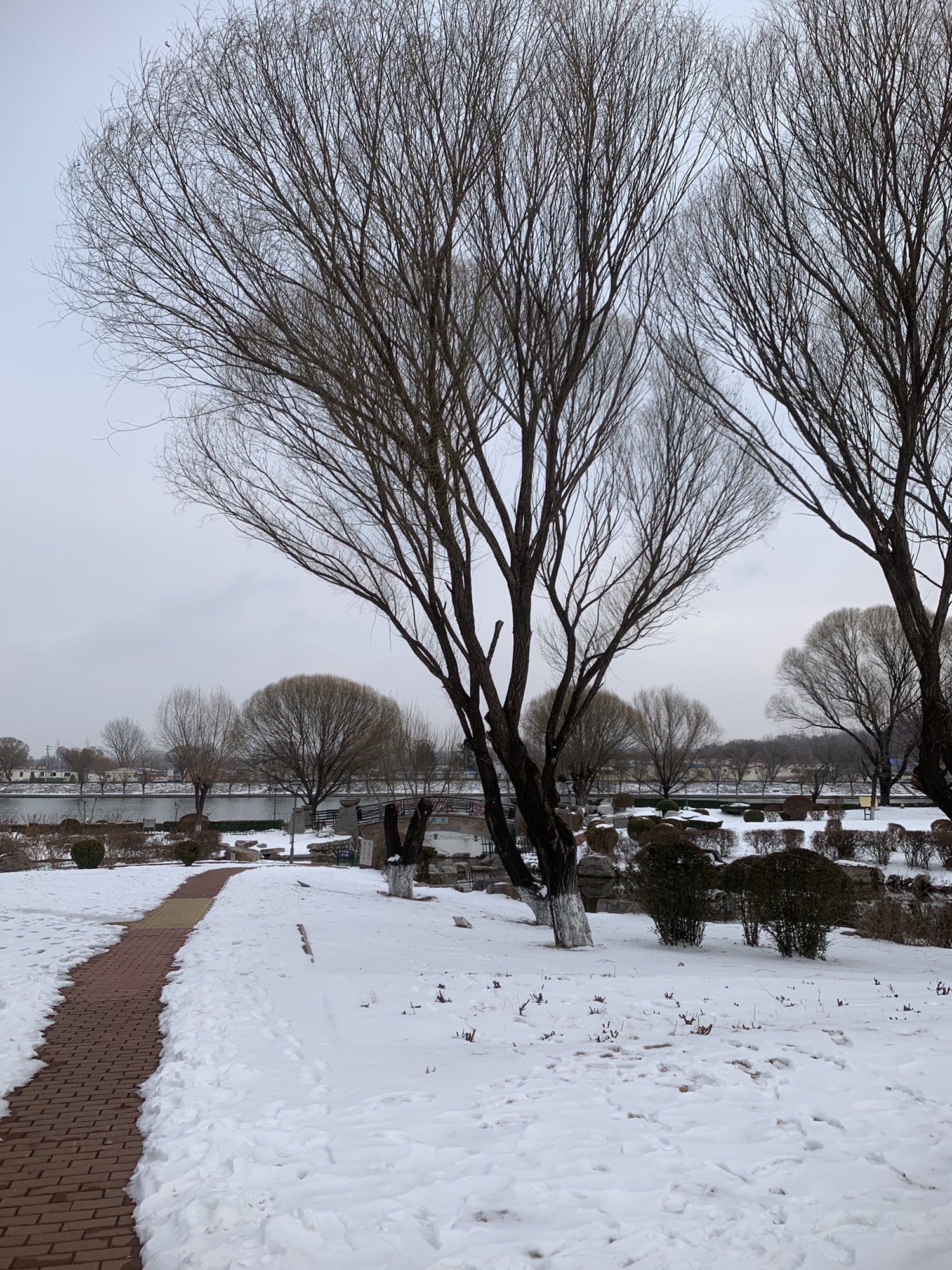 临朐文化公园旅行图片 3