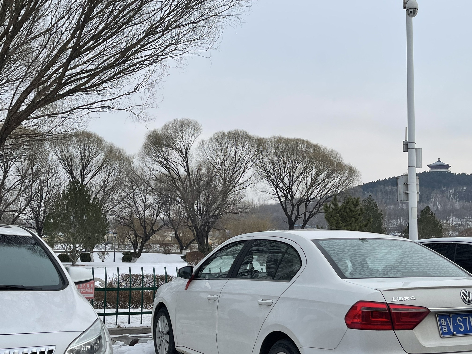 临朐文化公园旅行图片 1