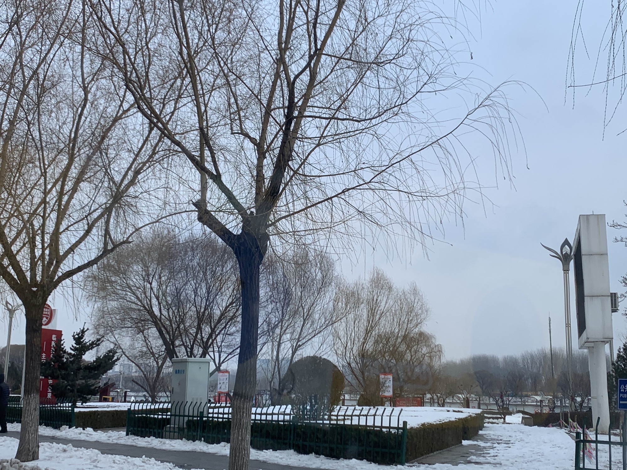 临朐文化公园旅行图片 2