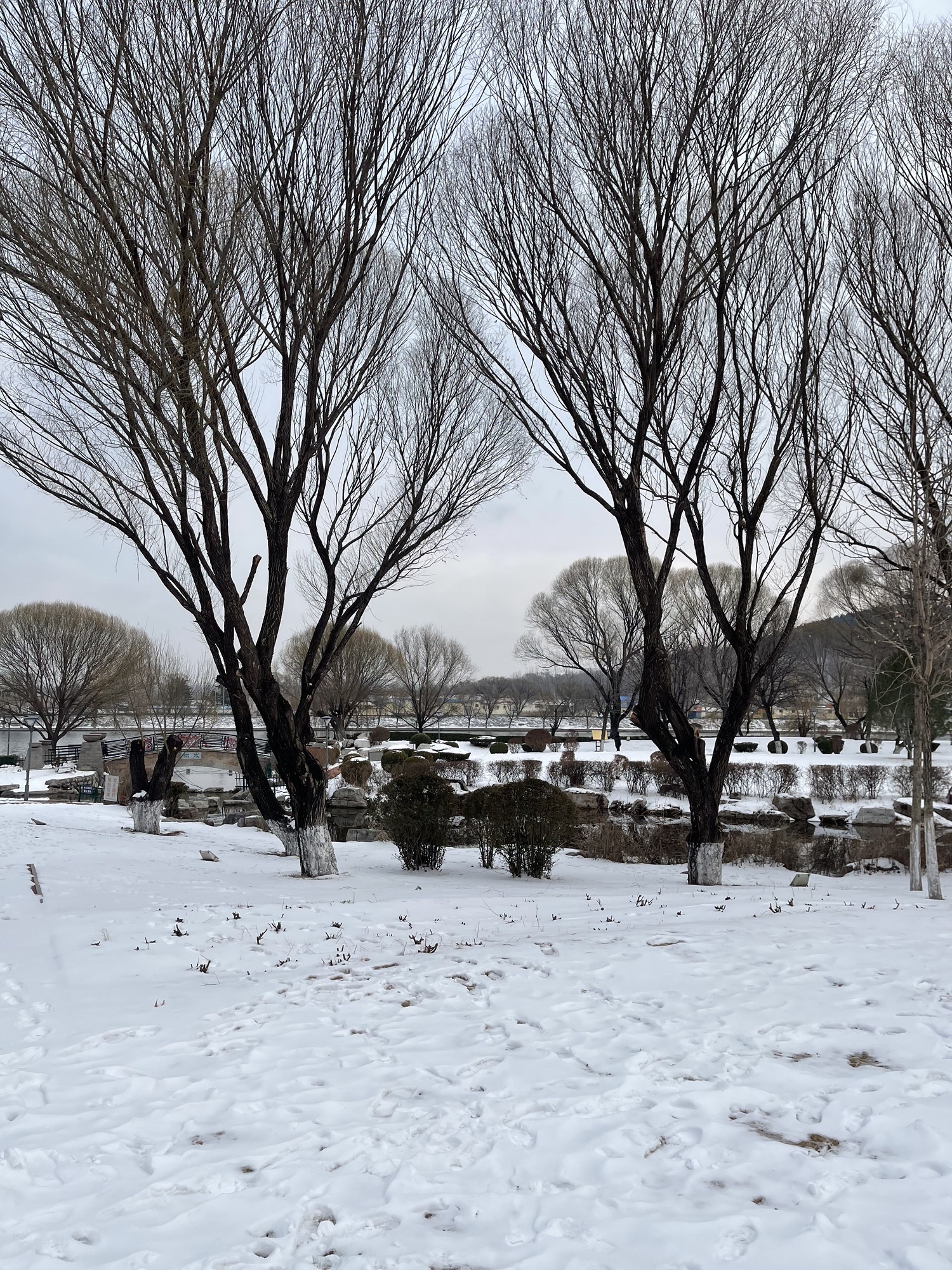临朐文化公园旅行图片 1