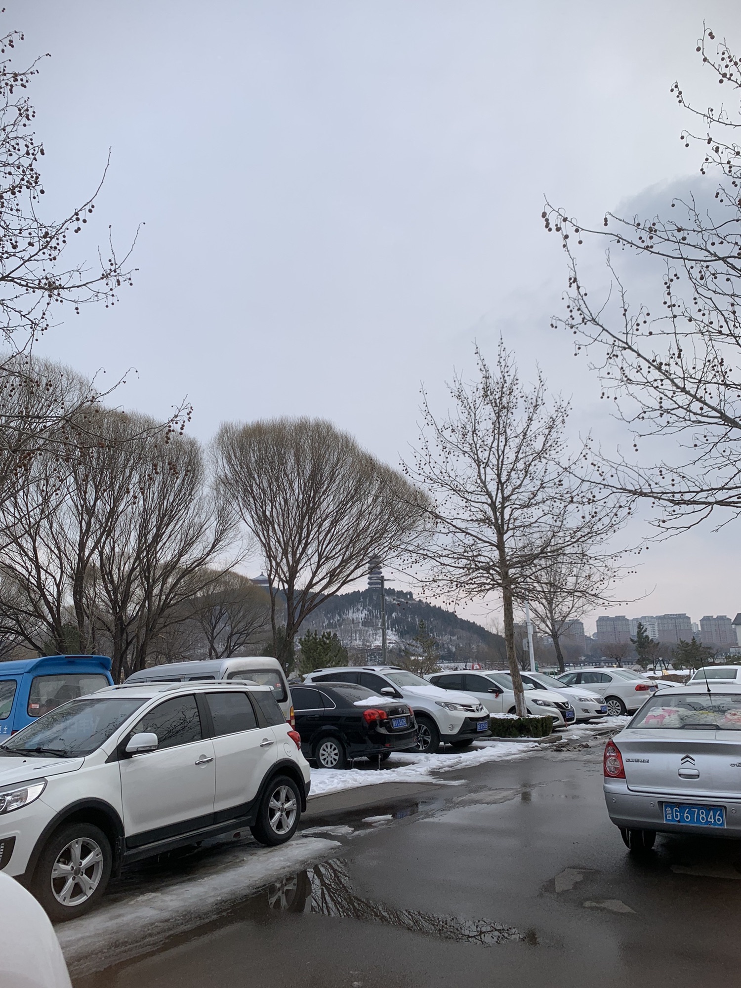 临朐文化公园旅行图片 2