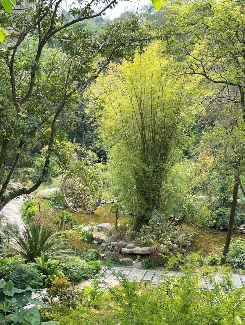 流青园森林公园旅行图片 1