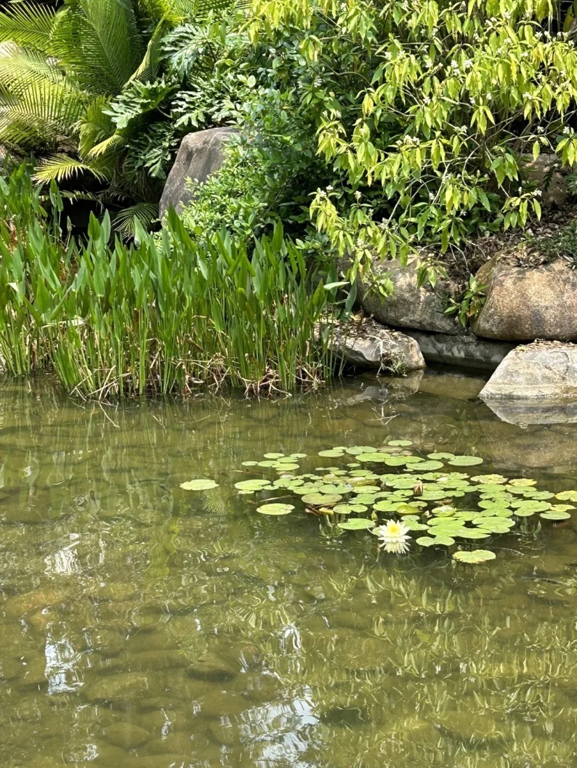 流青园森林公园旅行图片 2