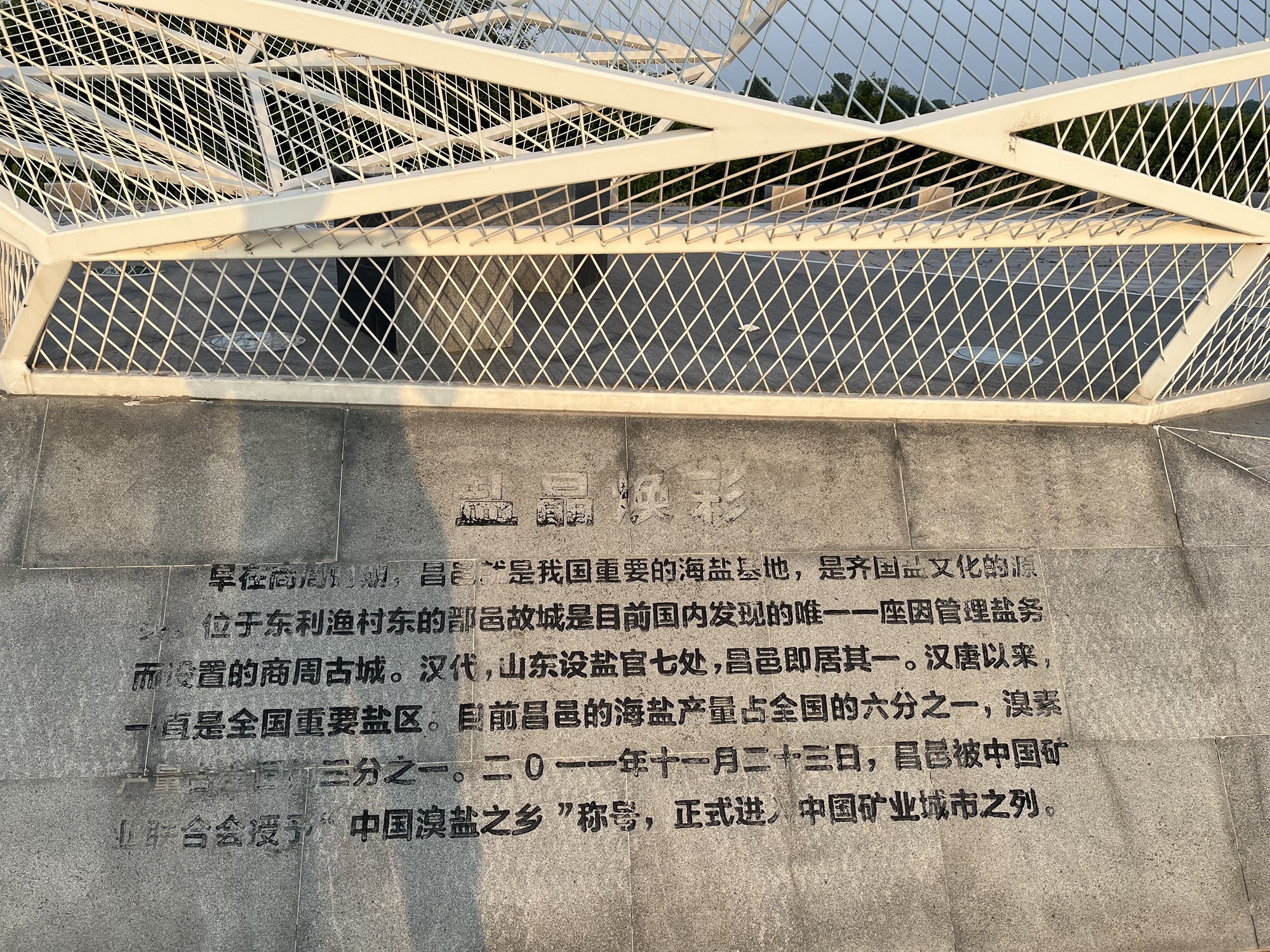 流青园森林公园旅行图片 1
