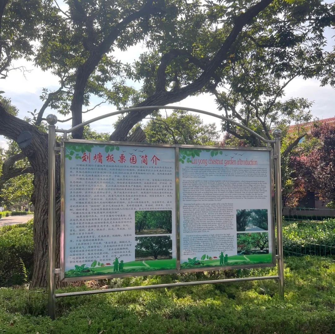 刘墉板栗园旅行图片 2