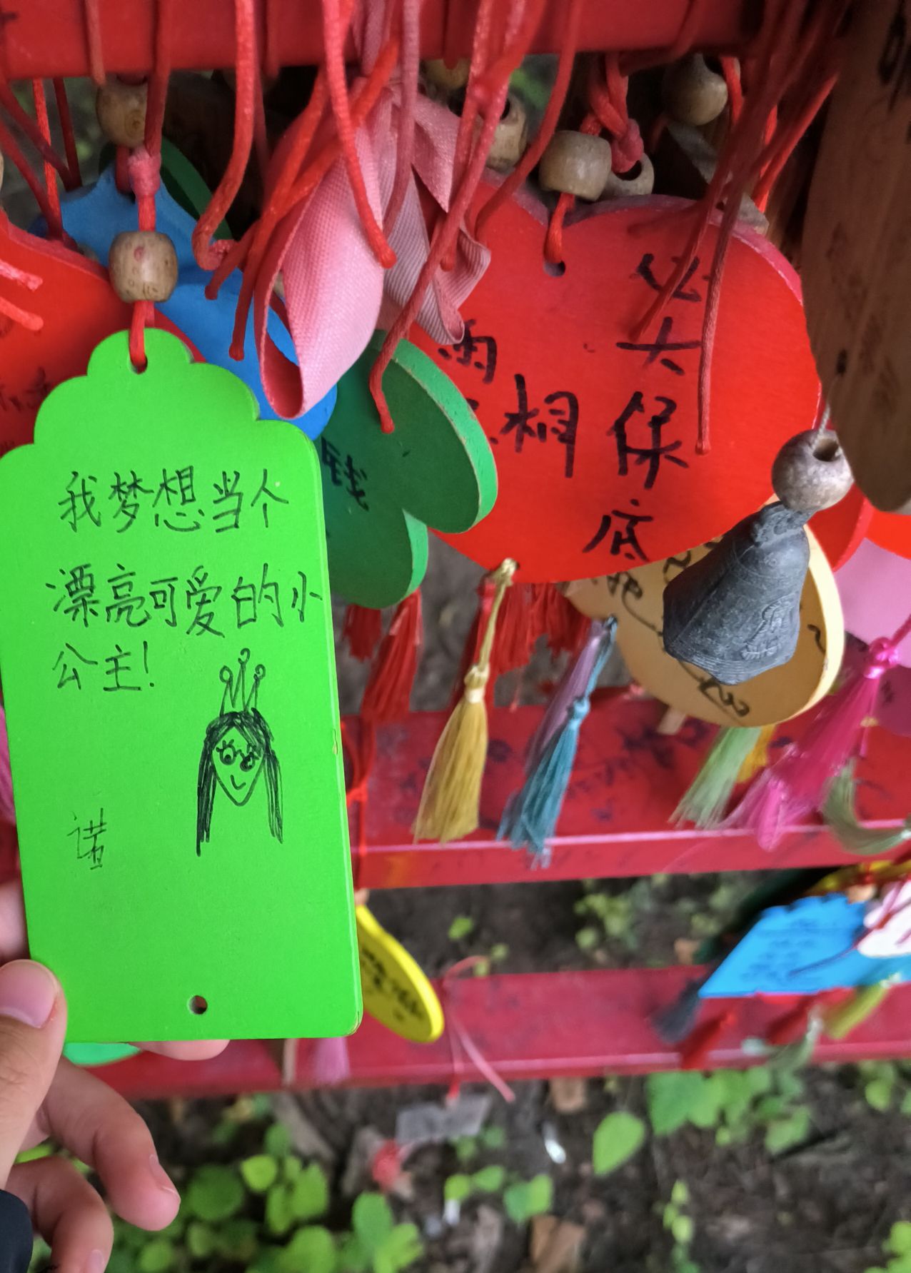 富华游乐园旅行图片 3