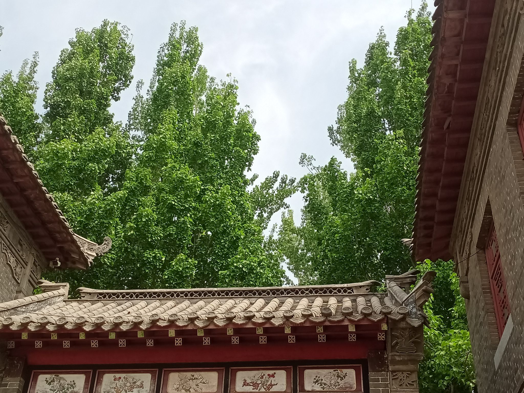 昌邑绿博园旅行图片 1
