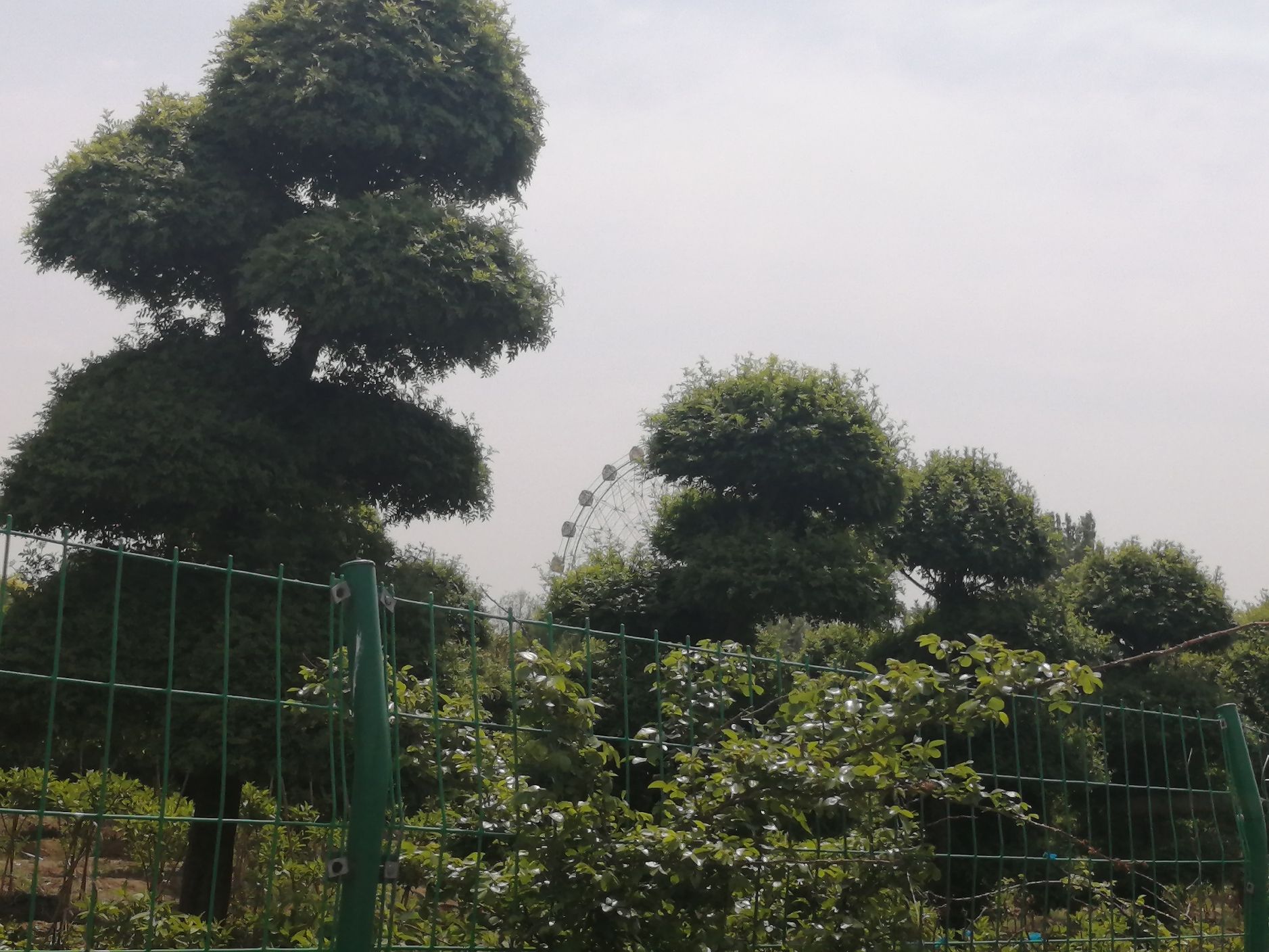 昌邑绿博园旅行图片 1