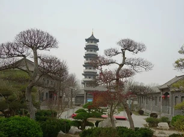 昌邑绿博园旅行图片 3