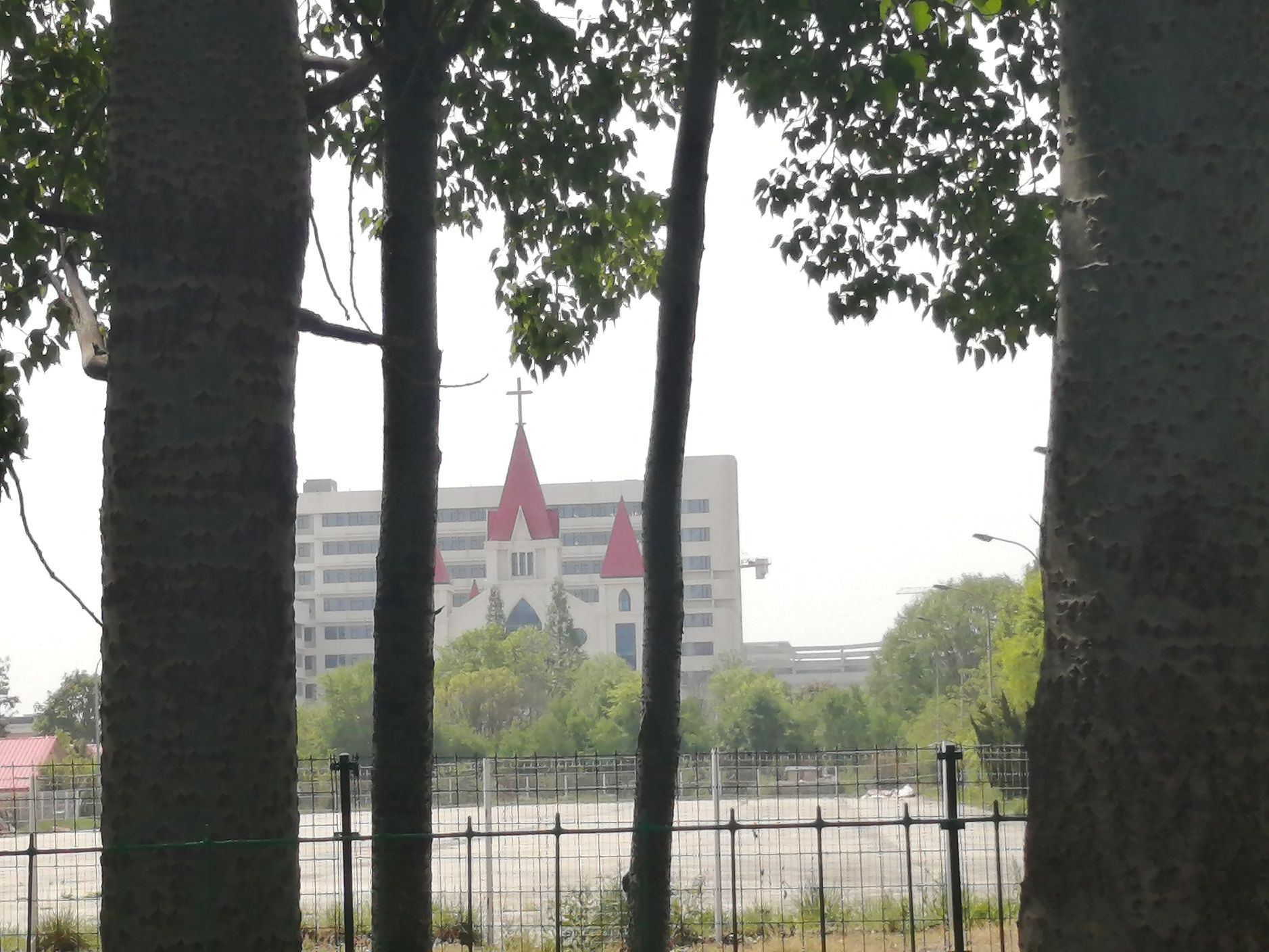 昌邑绿博园旅行图片 3