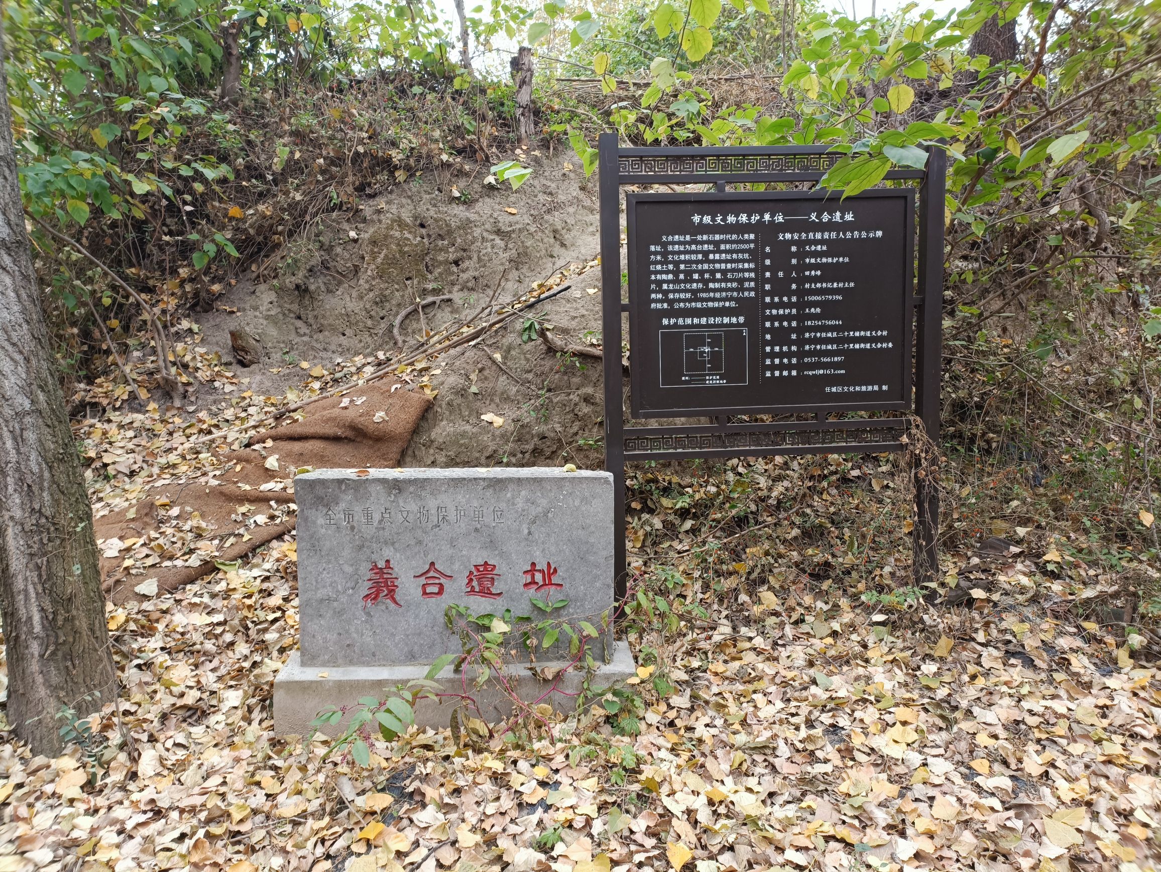 孟献子墓旅行图片 1