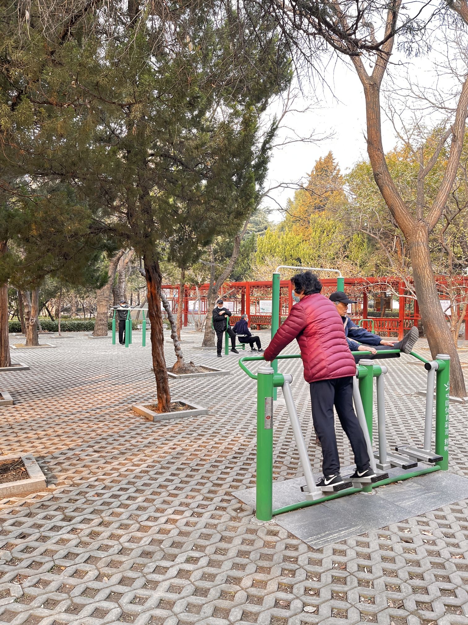 少陵公园旅行图片 3