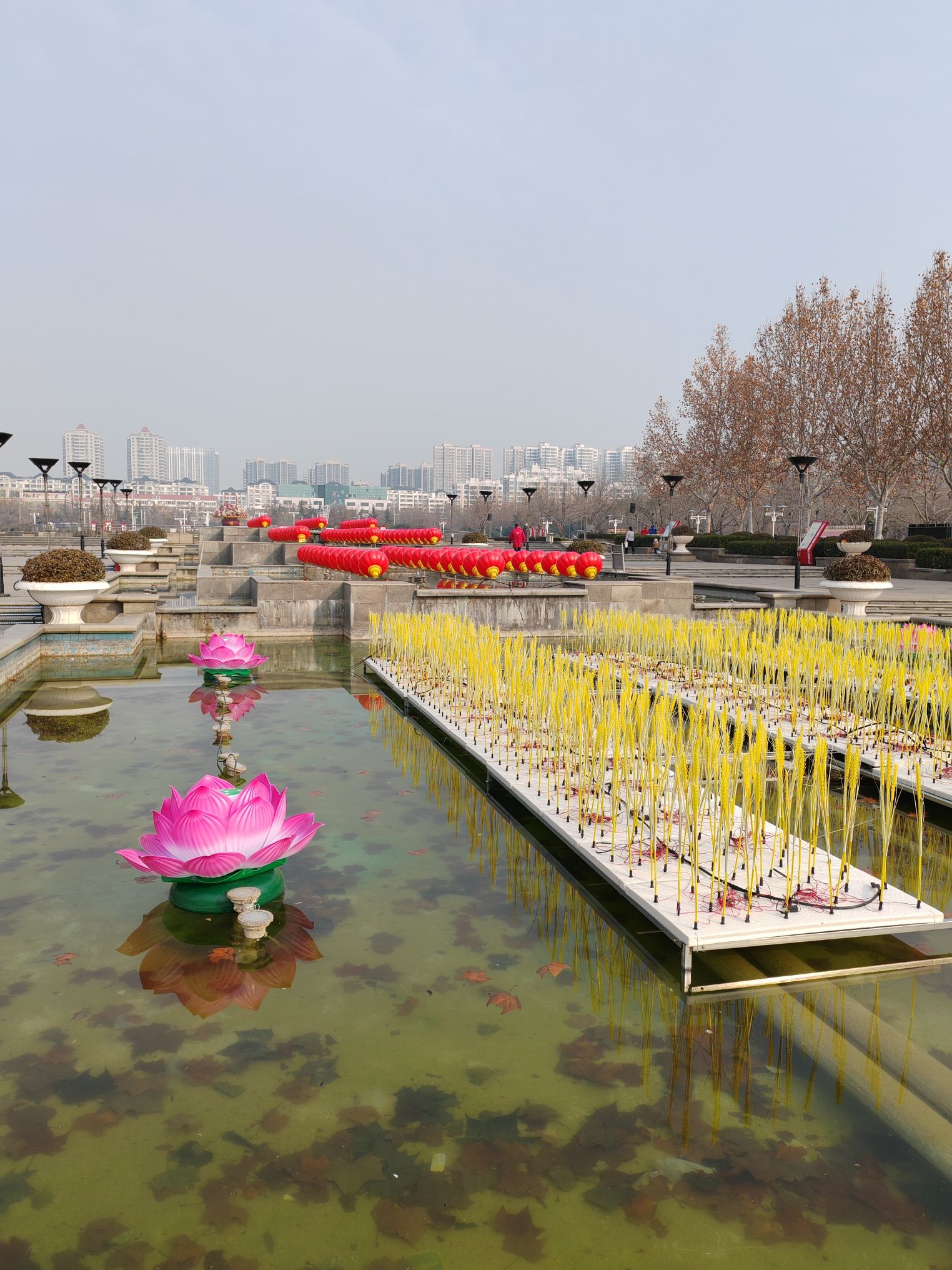 新世纪广场景点图片