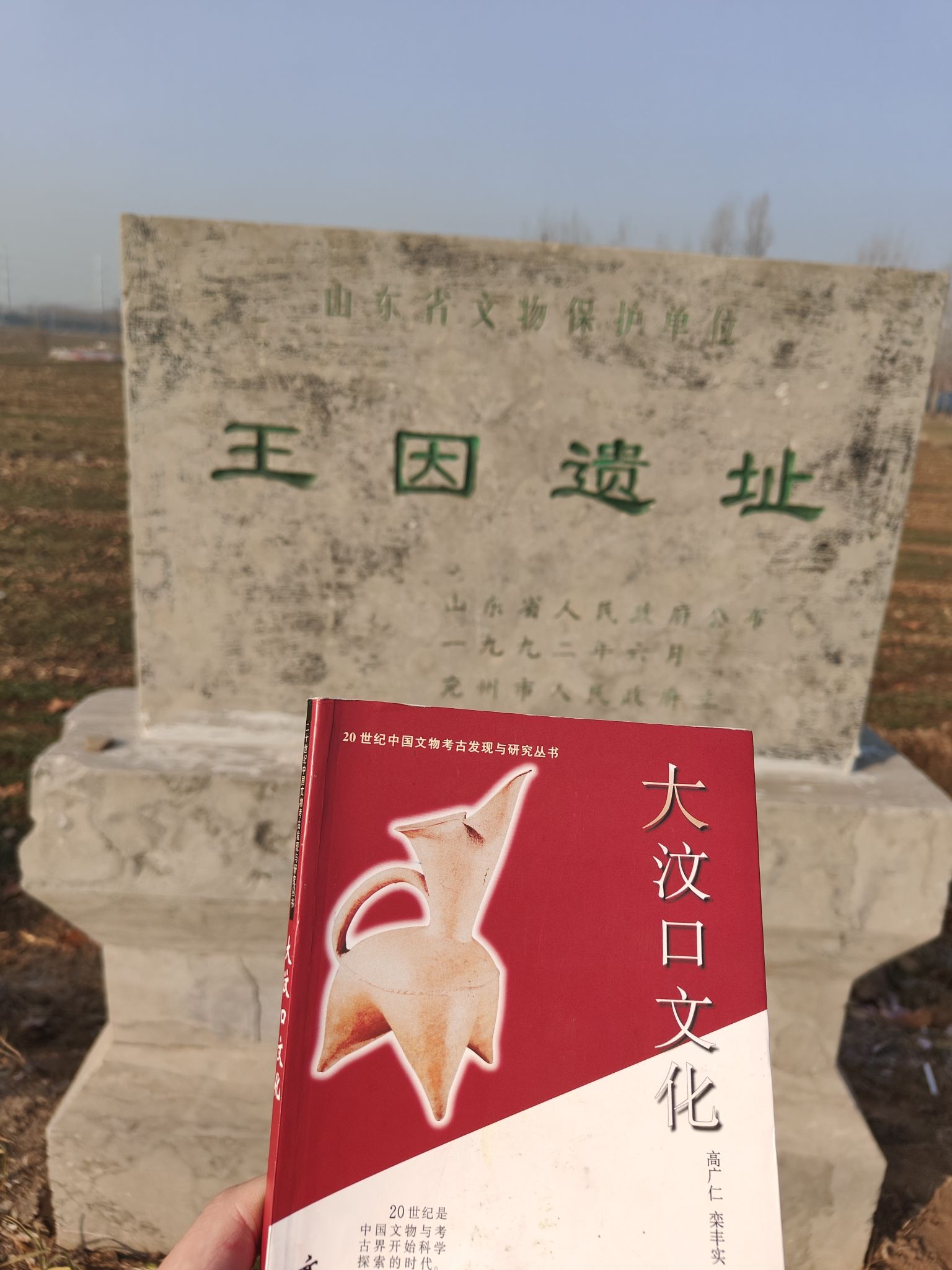 王因遗址旅行图片 3