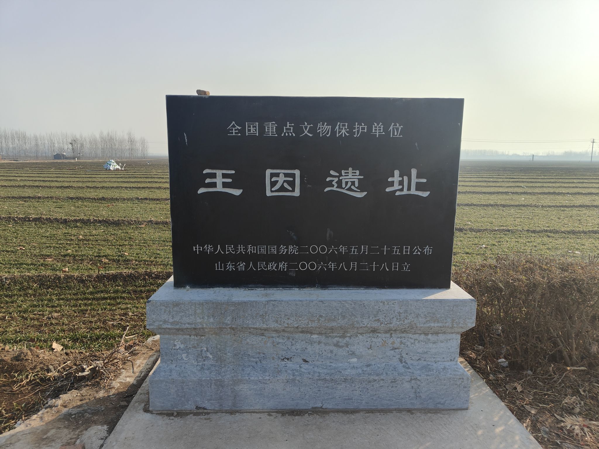 王因遗址旅行图片 1