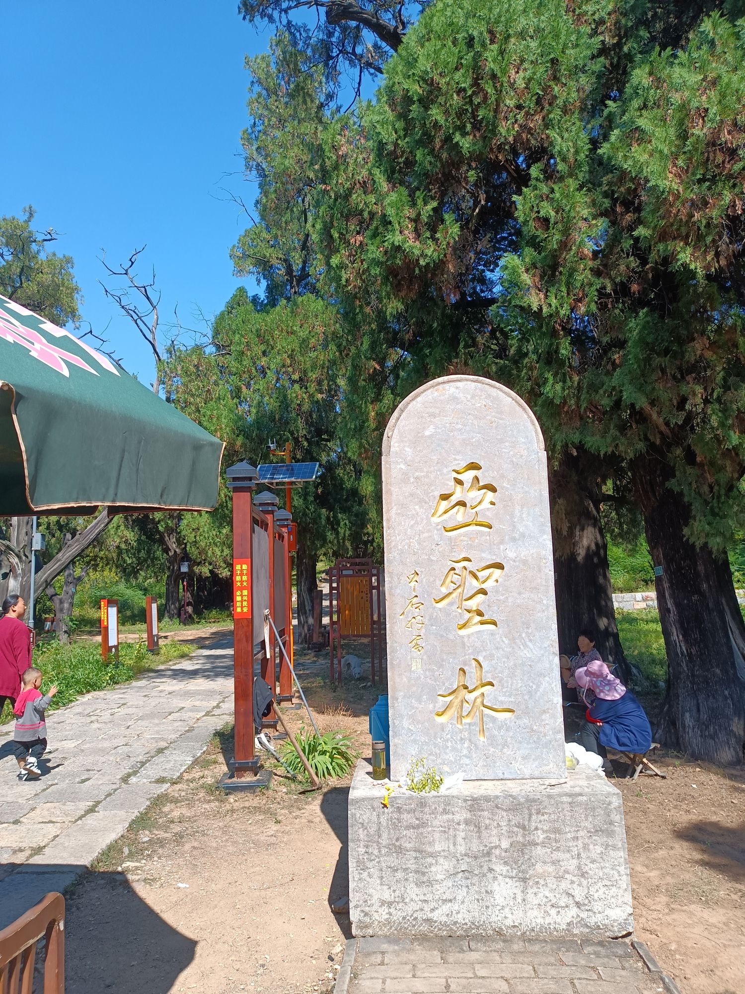 孟林旅行图片 3