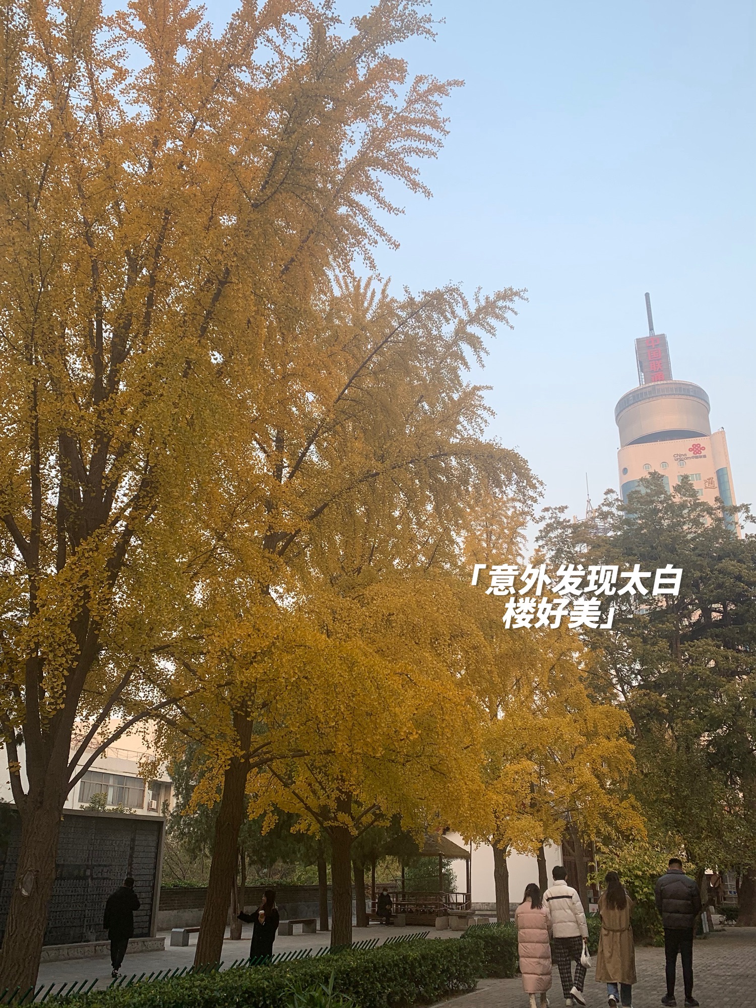 太白楼旅行图片 3