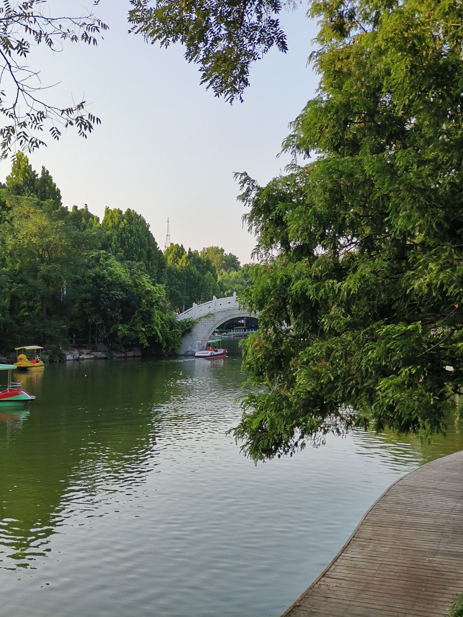 人民公园旅行图片 3