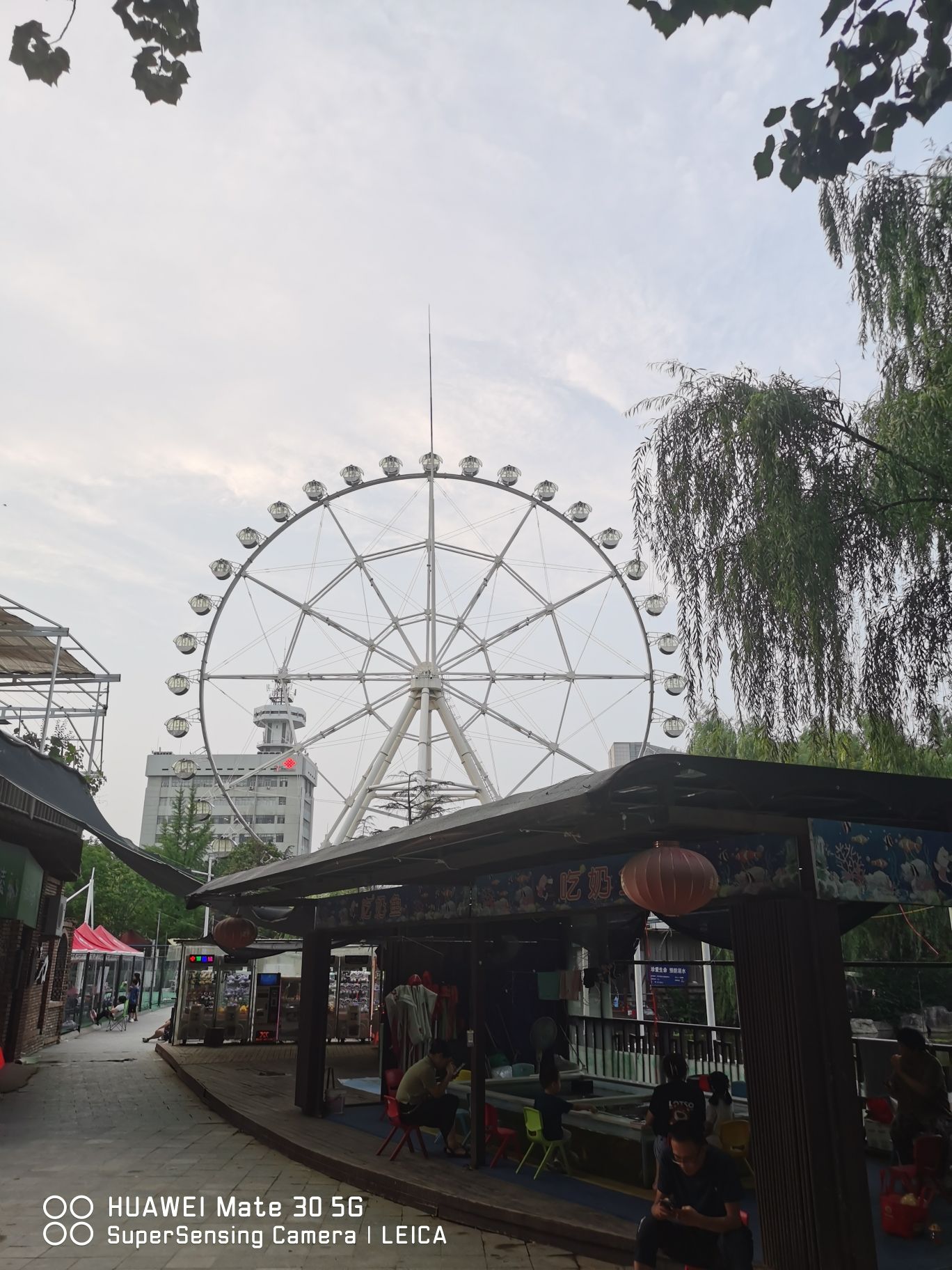 百花公园旅行图片 3
