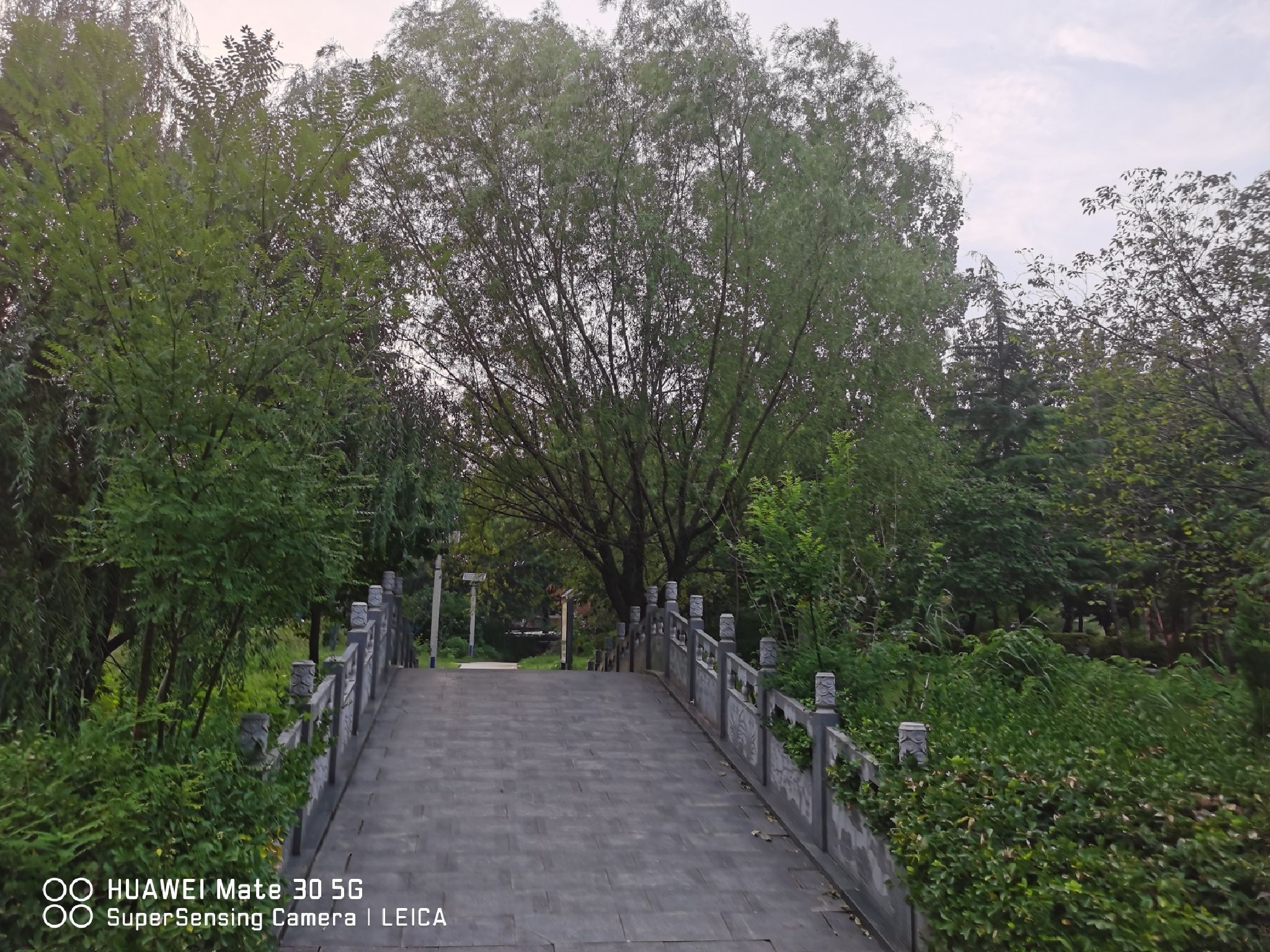 百花公园旅行图片 1