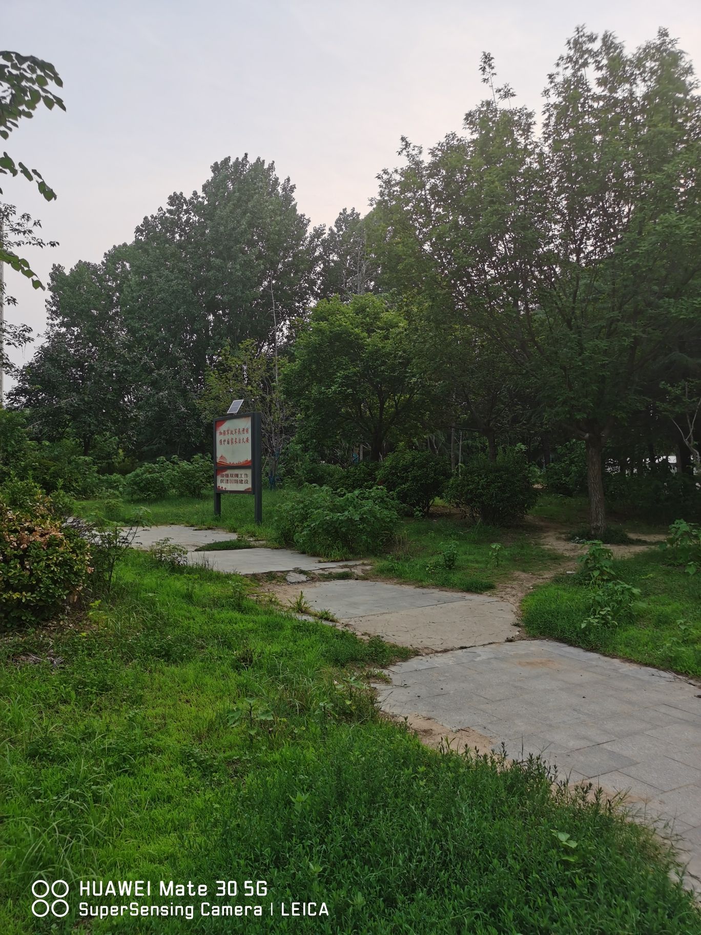 百花公园旅行图片 2