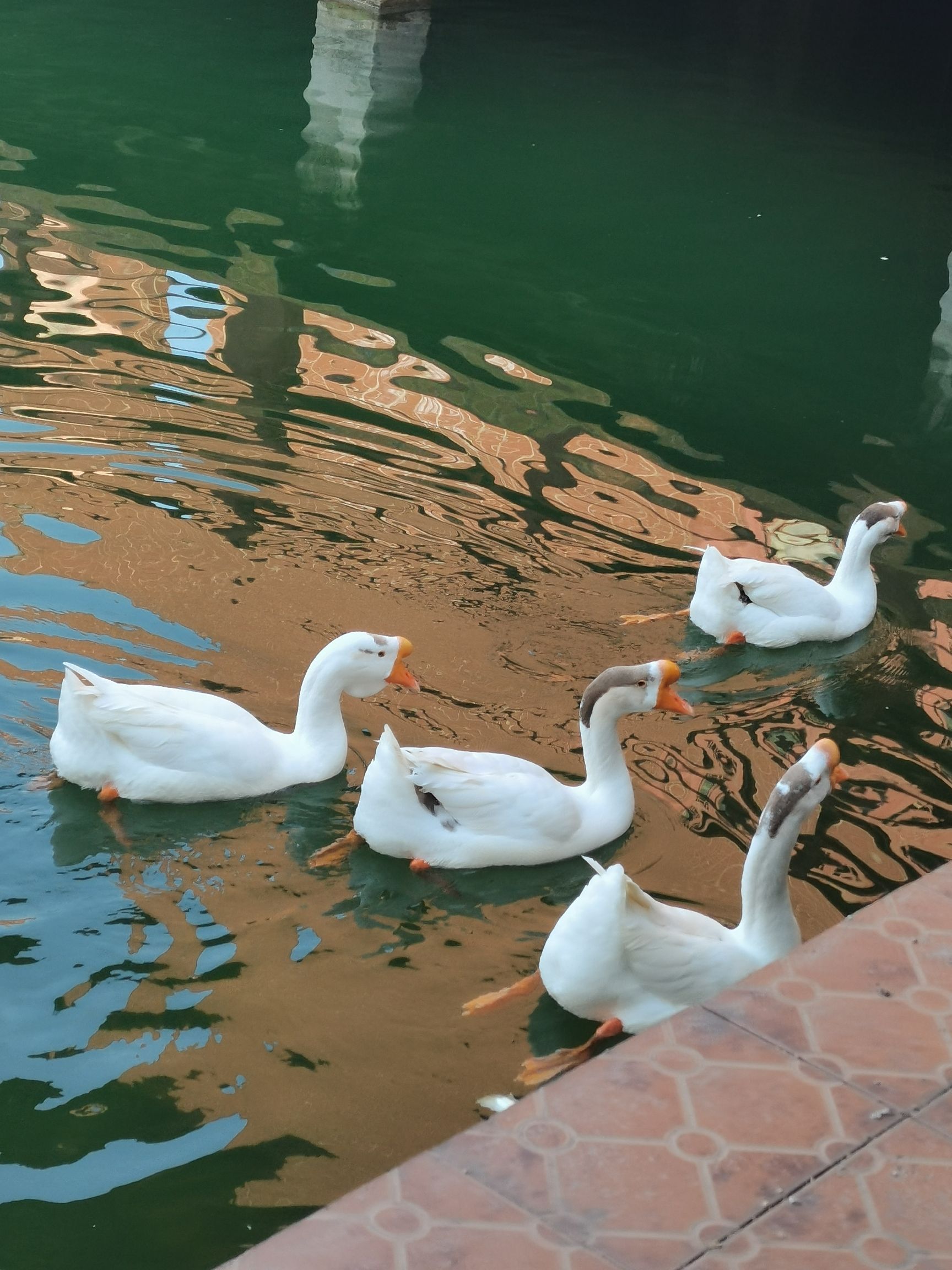 铁西公园旅行图片 2
