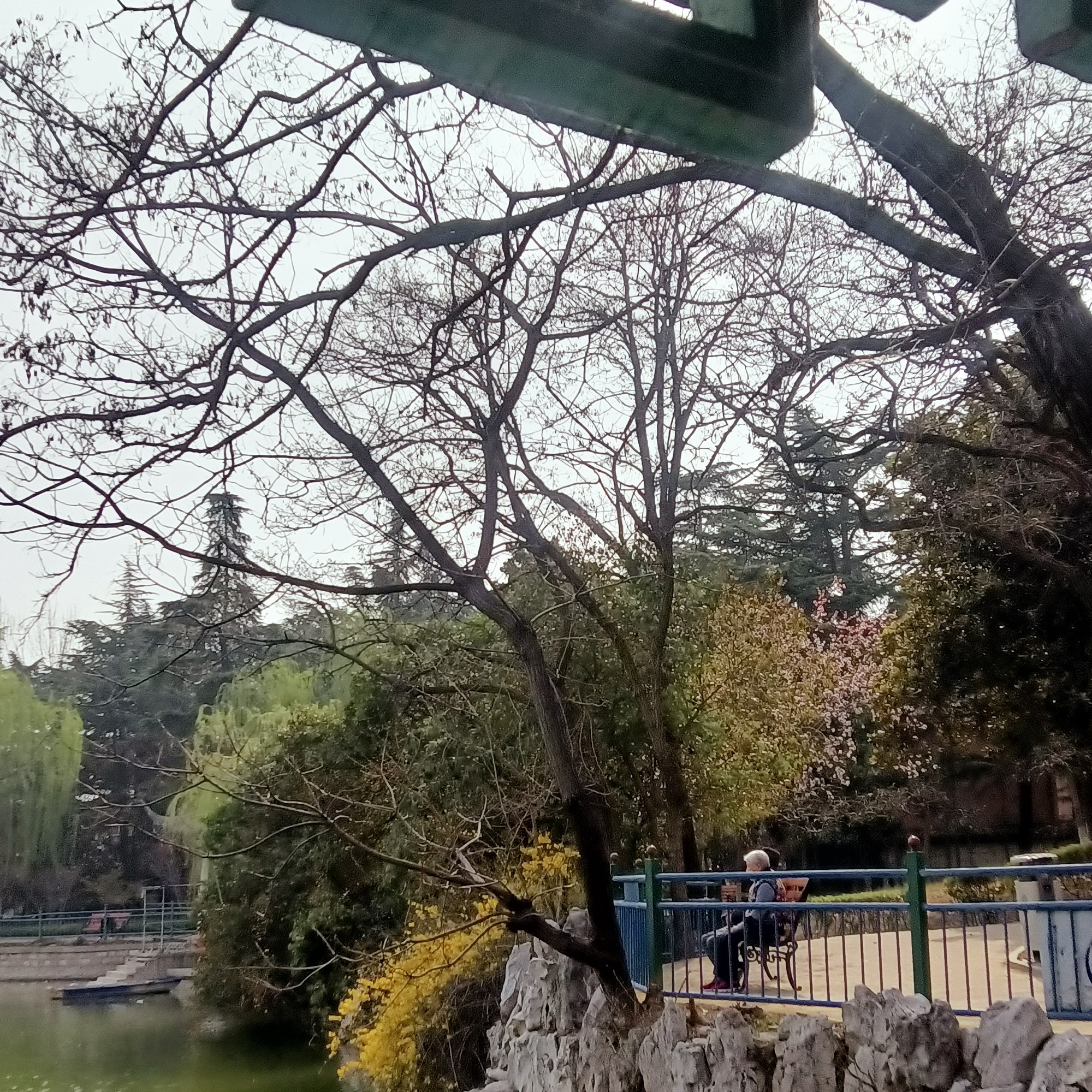 铁西公园旅行图片 1