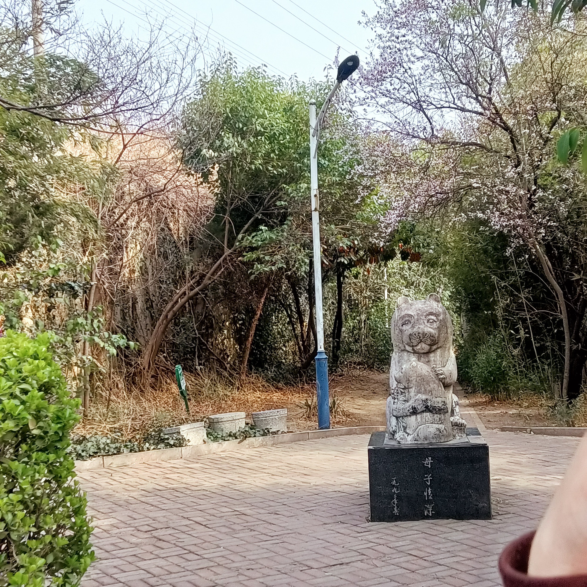 铁西公园旅行图片 3
