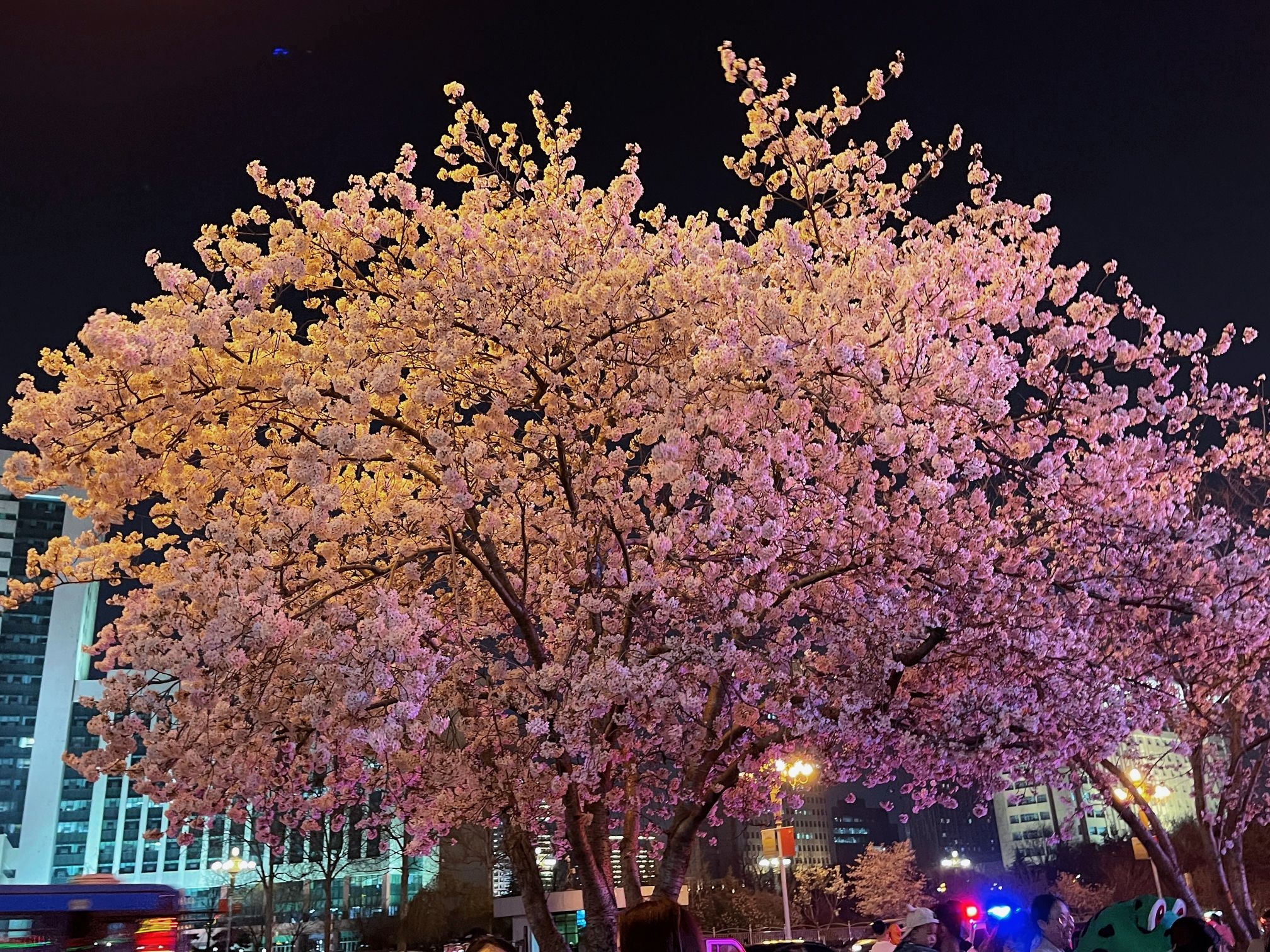 人民广场旅行图片 1