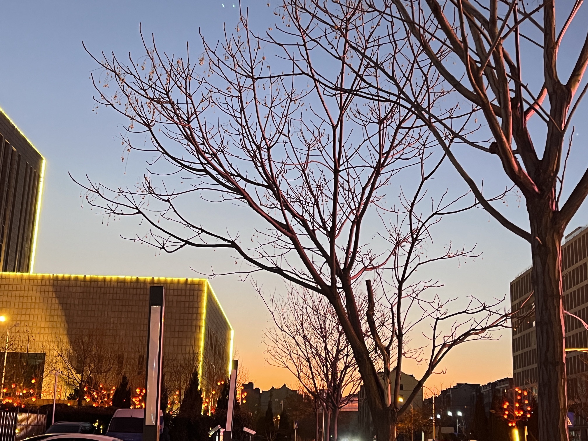 邹城市文化广场旅行图片 3
