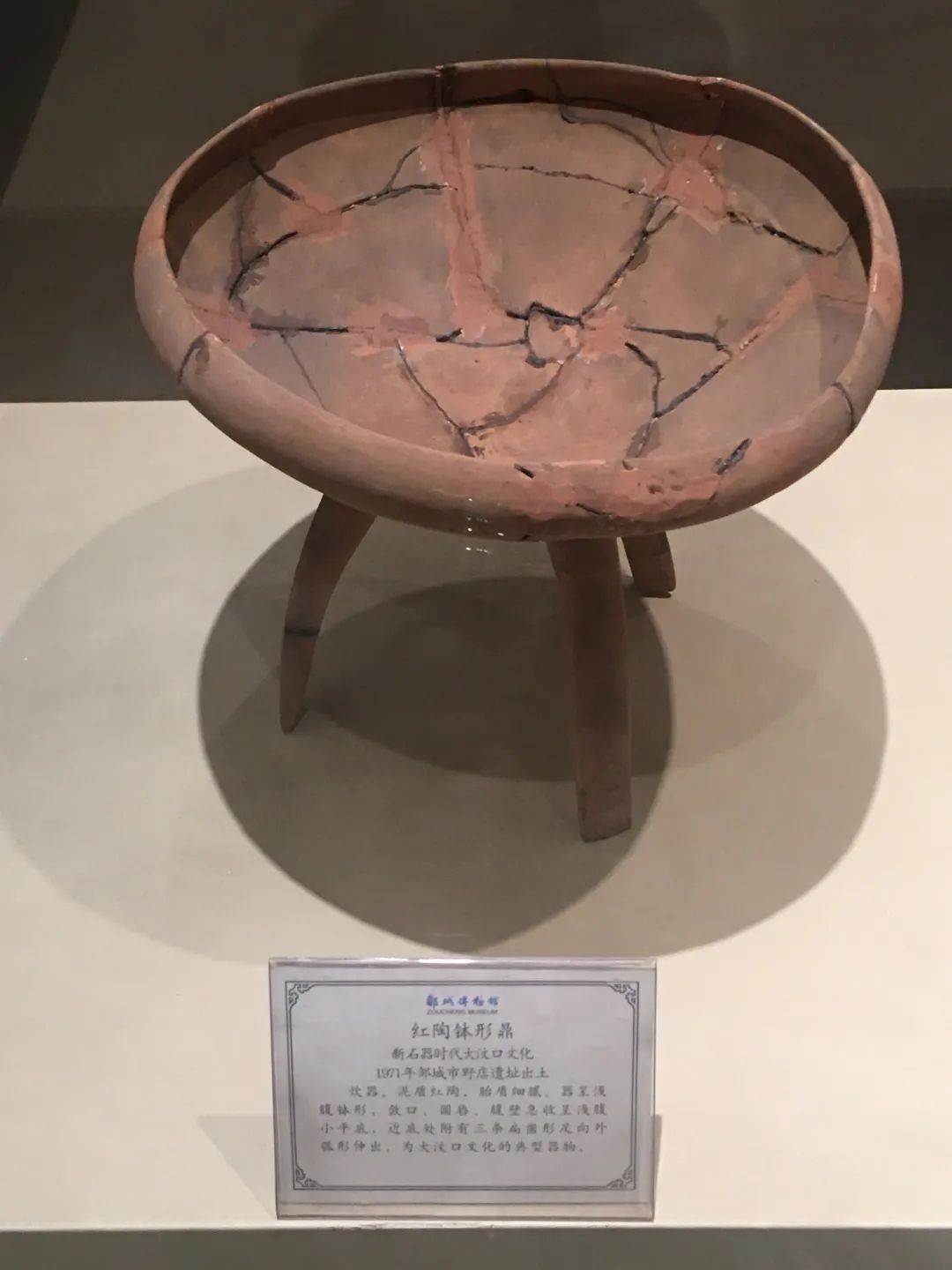 邹城博物馆旅行图片 1