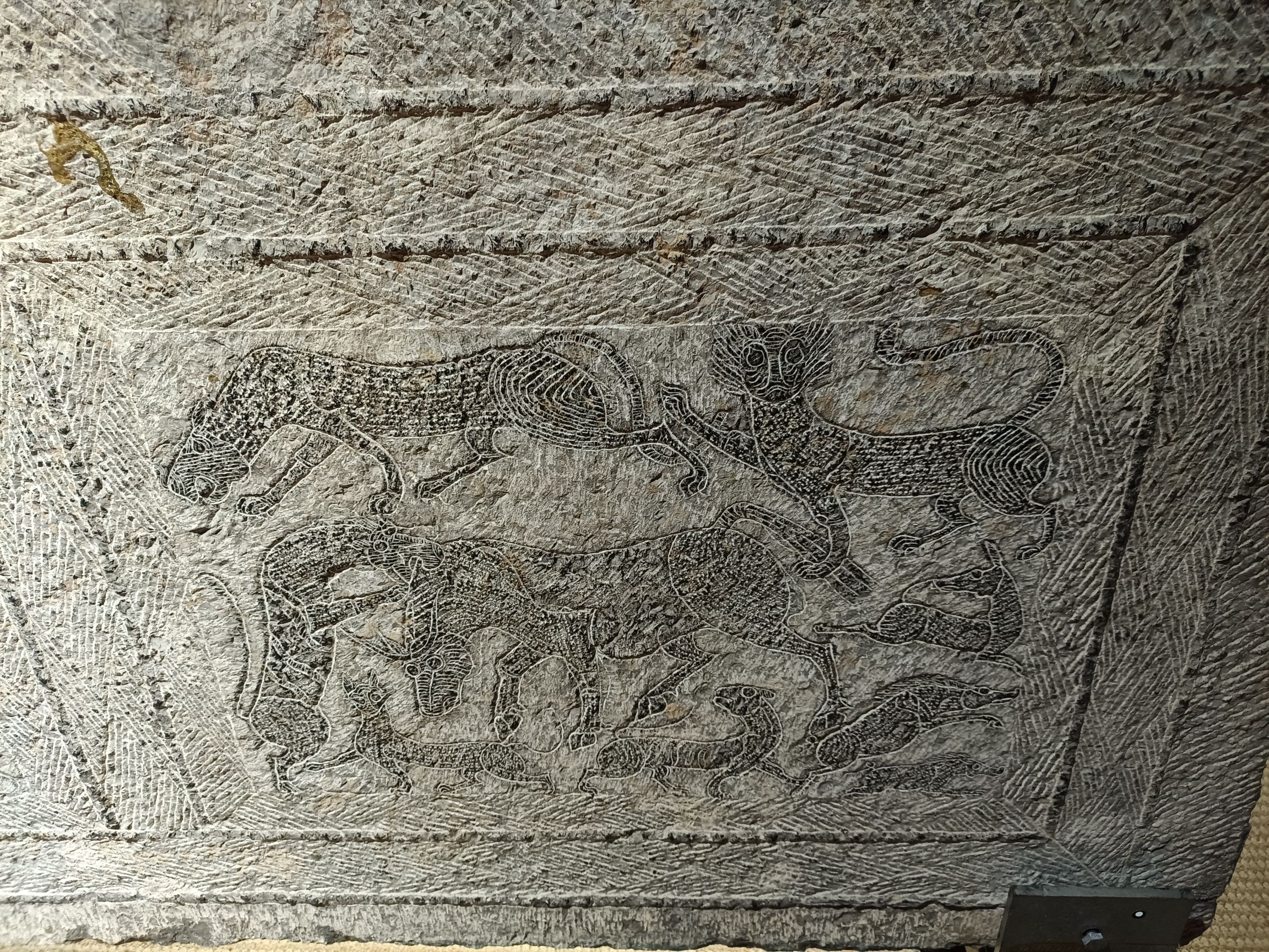 邹城博物馆旅行图片 3